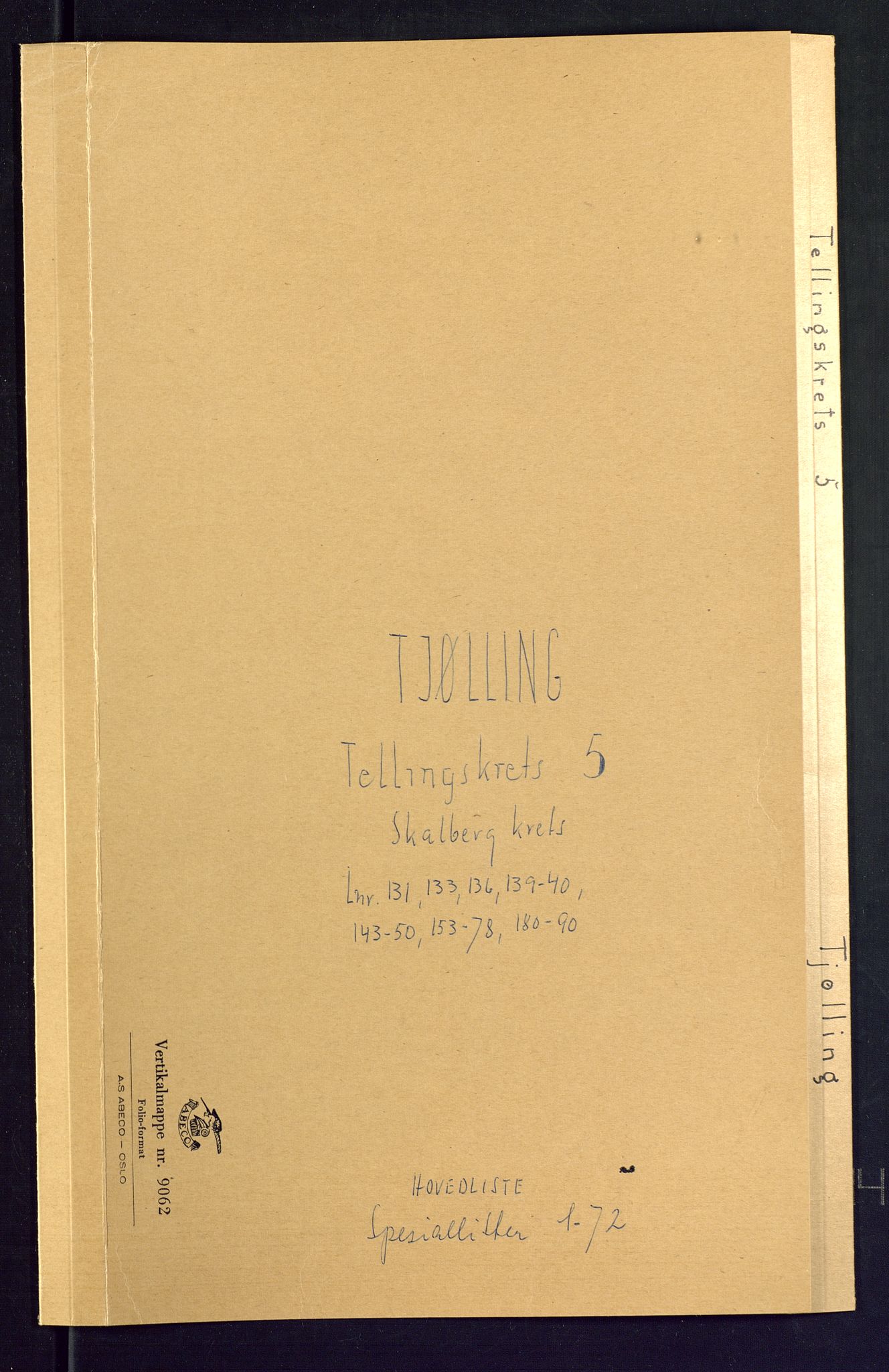 SAKO, Folketelling 1875 for 0725P Tjølling prestegjeld, 1875, s. 21