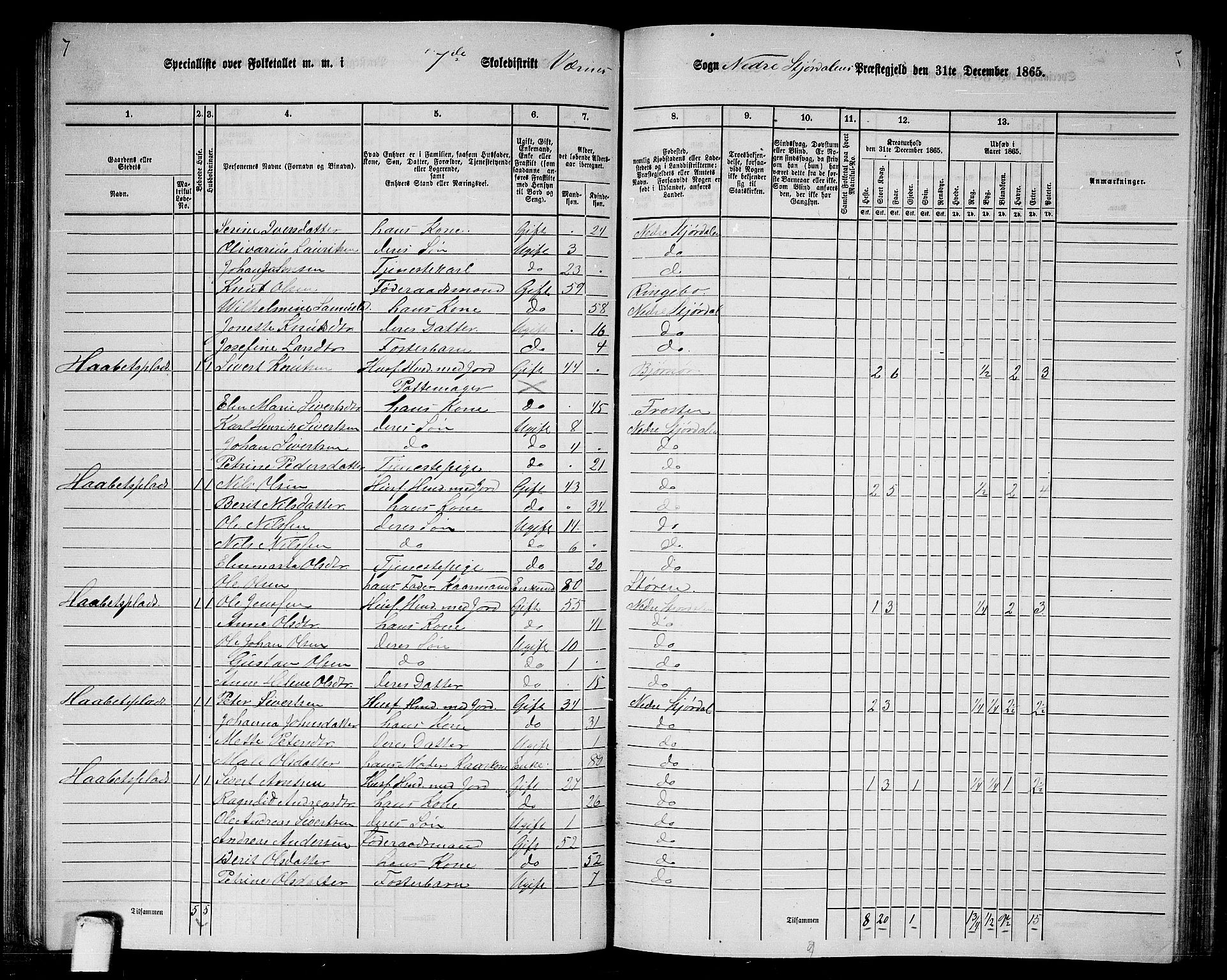 RA, Folketelling 1865 for 1714P Nedre Stjørdal prestegjeld, 1865, s. 133