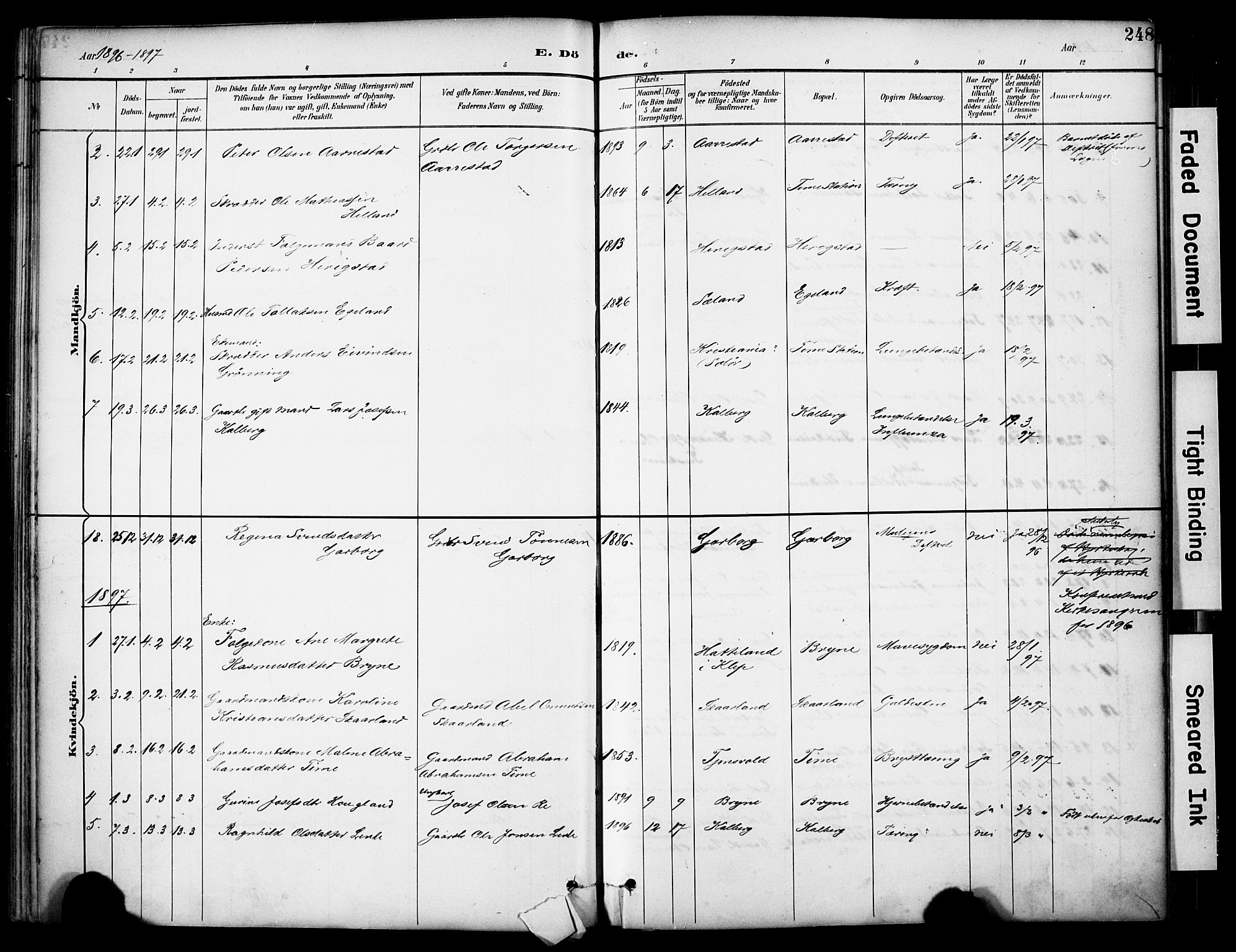 Lye sokneprestkontor, AV/SAST-A-101794/001/30BA/L0011: Ministerialbok nr. A 9, 1893-1903, s. 248