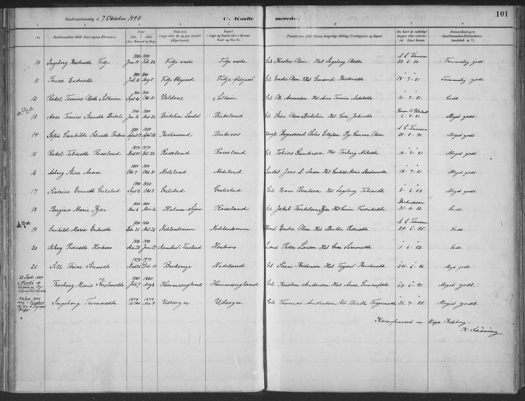 Søgne sokneprestkontor, SAK/1111-0037/F/Fa/Faa/L0003: Ministerialbok nr. A 3, 1883-1910, s. 101