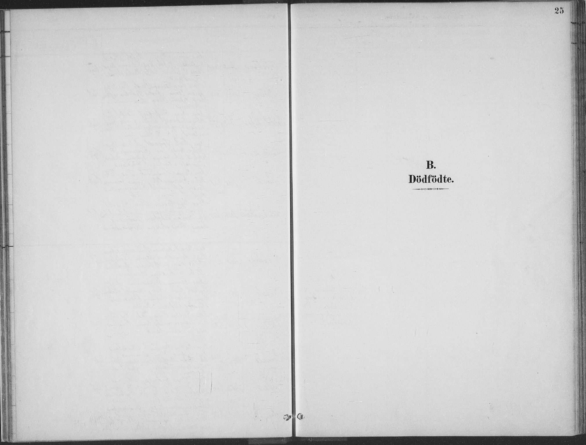 Kvinesdal sokneprestkontor, SAK/1111-0026/F/Fa/Faa/L0004: Ministerialbok nr. A 4, 1882-1897, s. 25