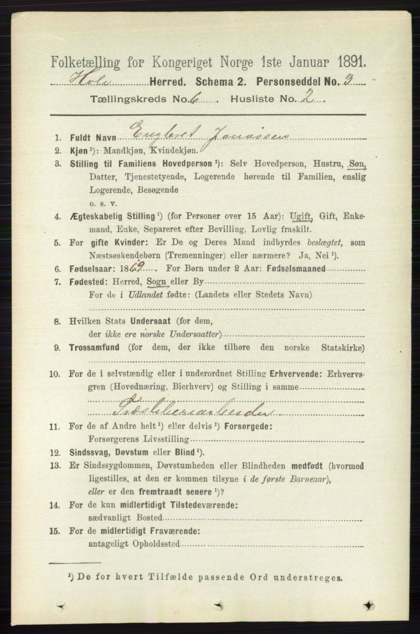 RA, Folketelling 1891 for 0612 Hole herred, 1891, s. 3113