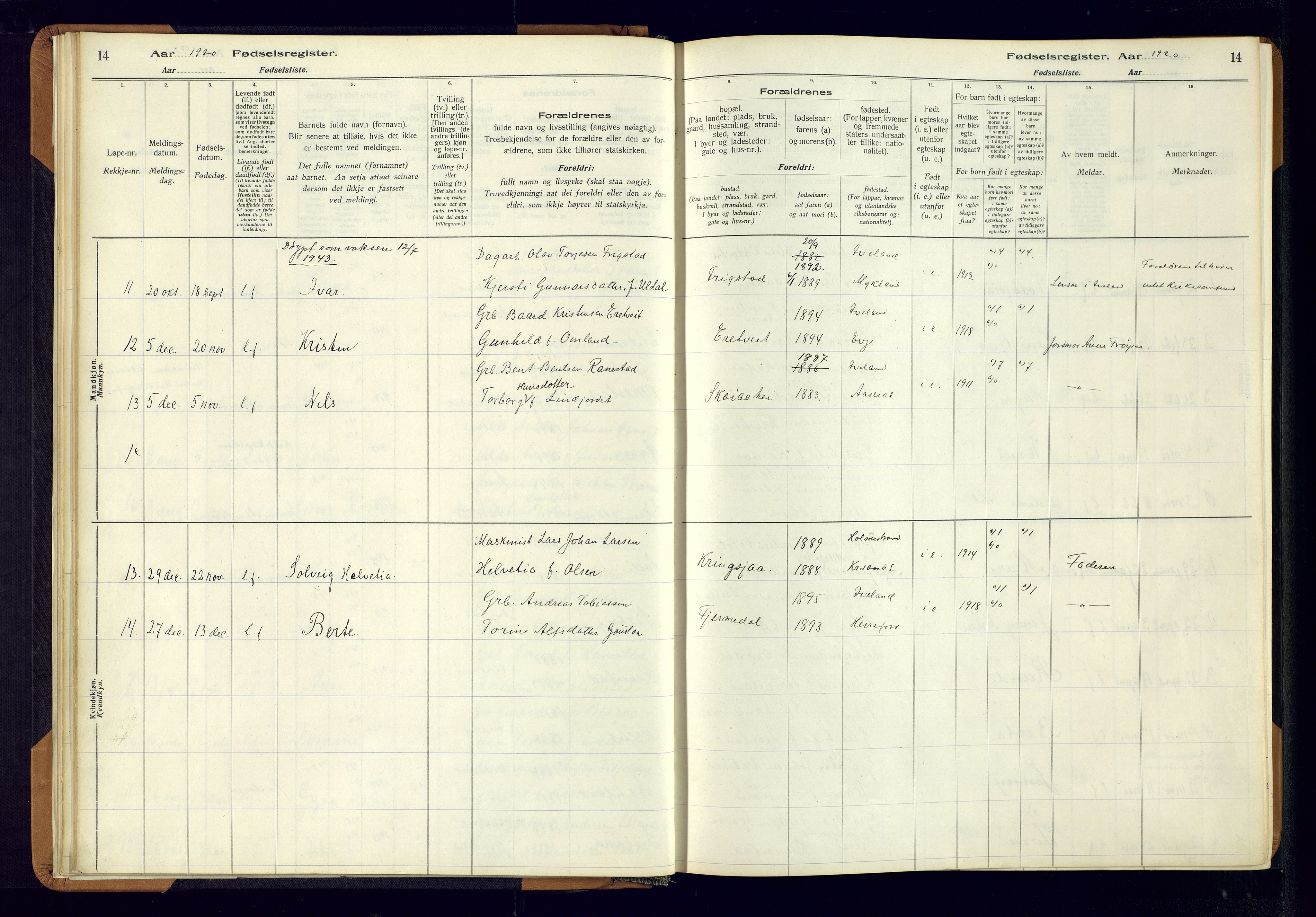 Evje sokneprestkontor, AV/SAK-1111-0008/J/Jc/L0003: Fødselsregister nr. II.4.3, 1916-1982, s. 14