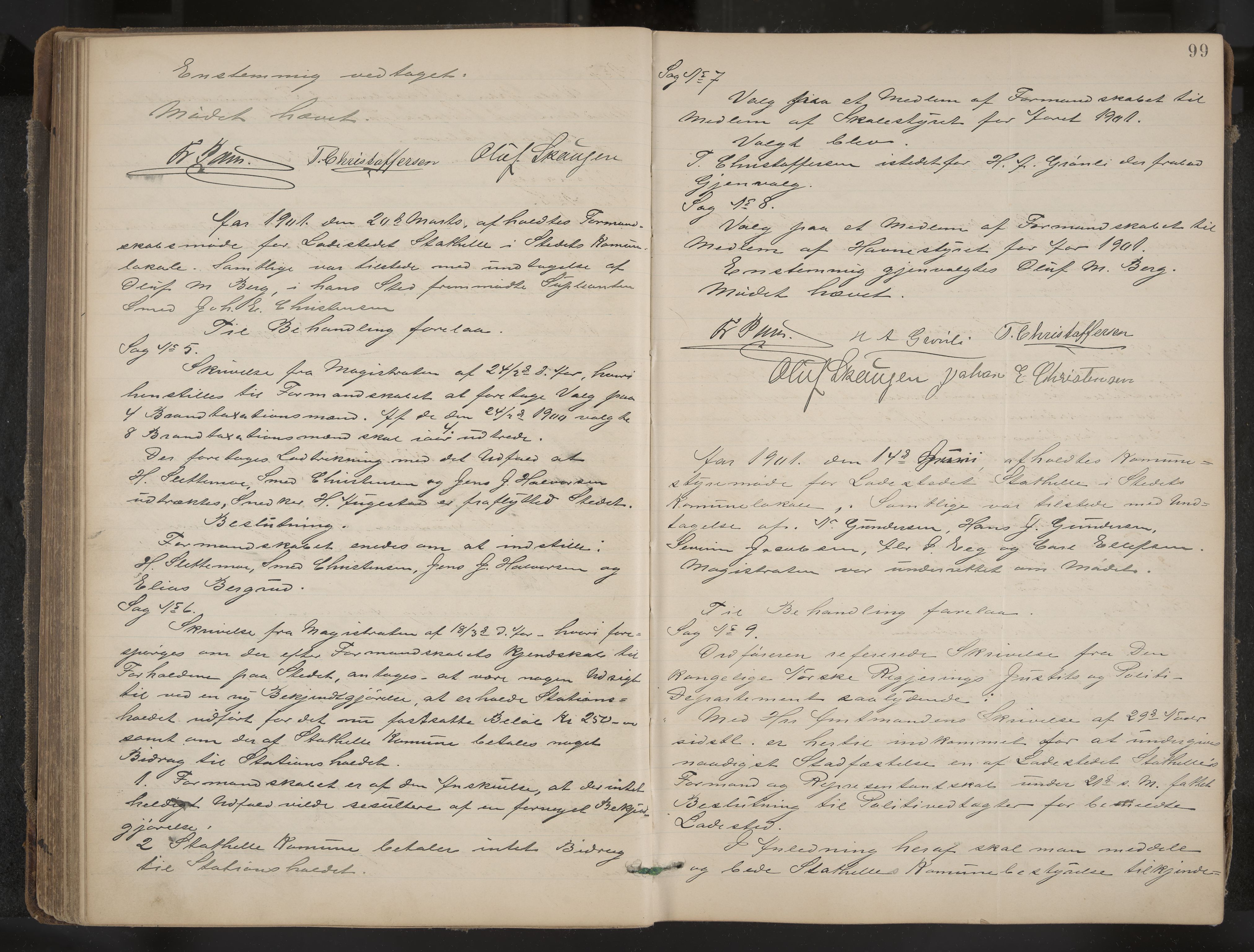 Stathelle formannskap og sentraladministrasjon, IKAK/0803021/A/L0002: Møtebok, 1892-1909, s. 99