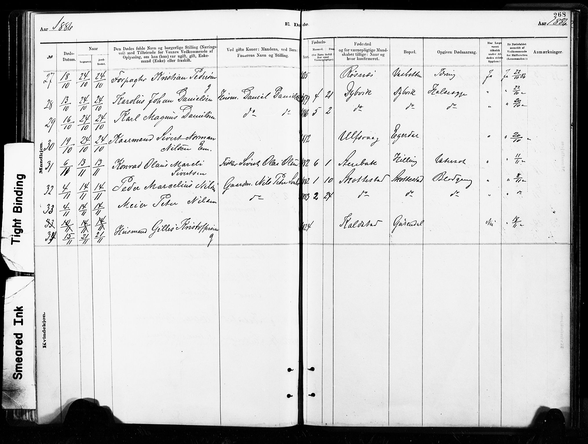 Ministerialprotokoller, klokkerbøker og fødselsregistre - Nordland, AV/SAT-A-1459/859/L0846: Ministerialbok nr. 859A06, 1878-1889, s. 268