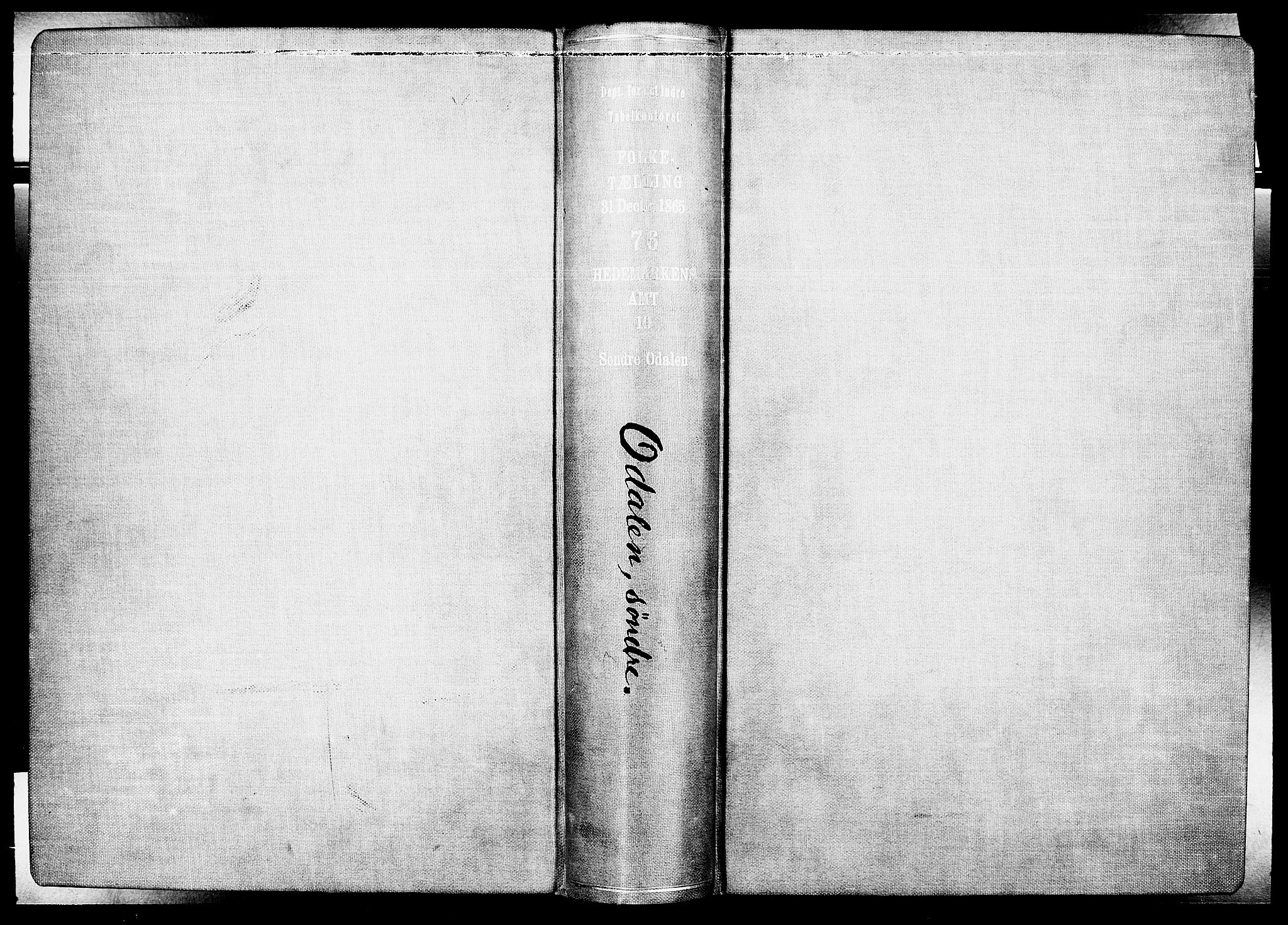 RA, Folketelling 1865 for 0419P Sør-Odal prestegjeld, 1865, s. 2