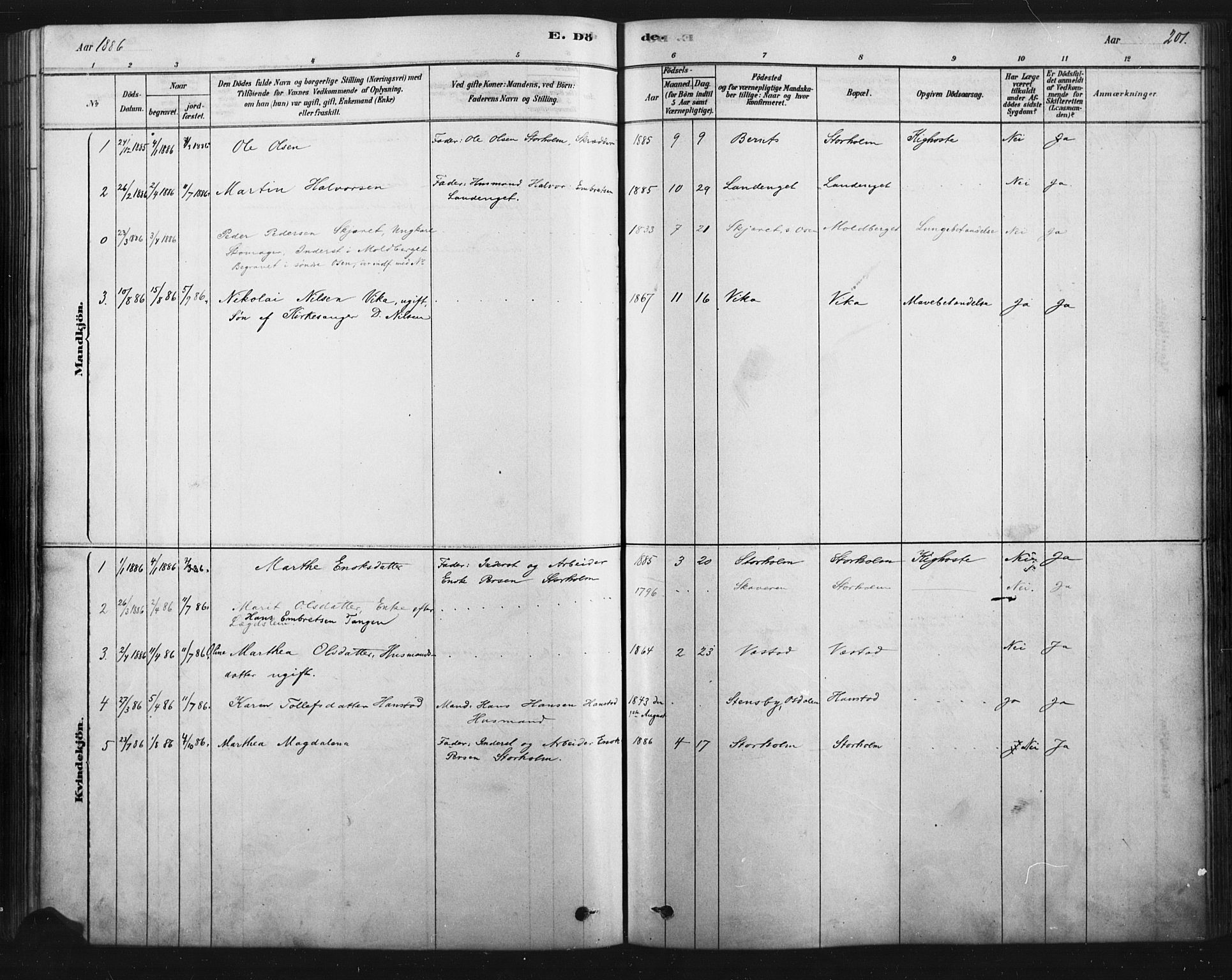 Åmot prestekontor, Hedmark, SAH/PREST-056/H/Ha/Haa/L0012: Ministerialbok nr. 12, 1878-1901, s. 201