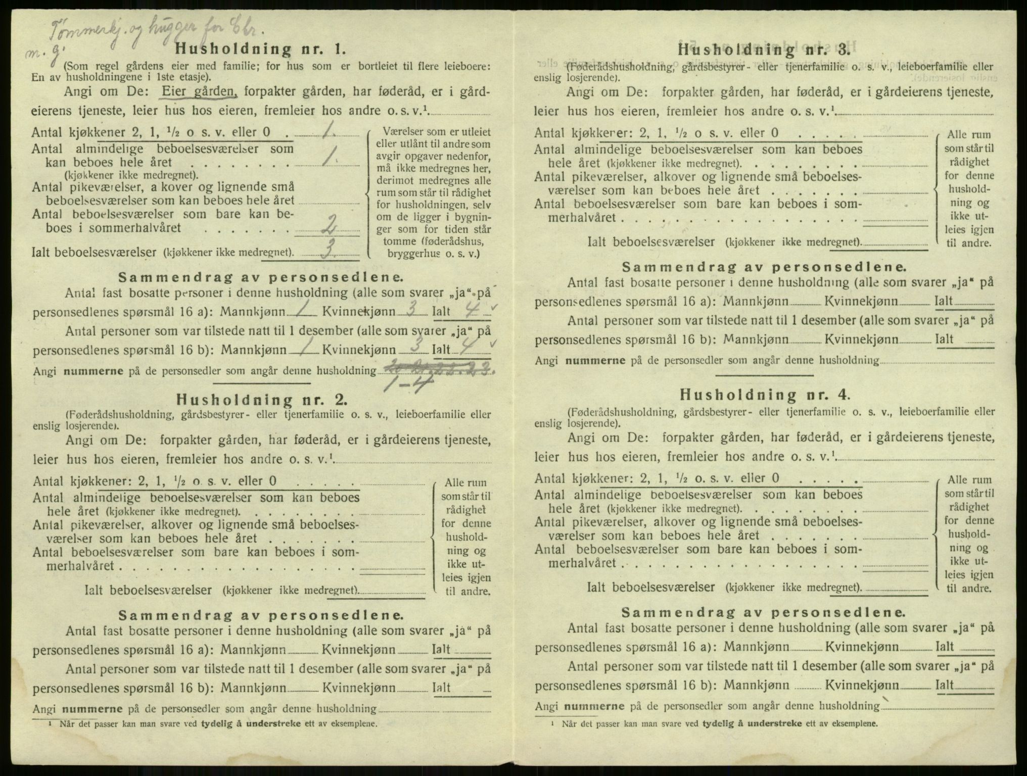 SAKO, Folketelling 1920 for 0615 Flå herred, 1920, s. 37