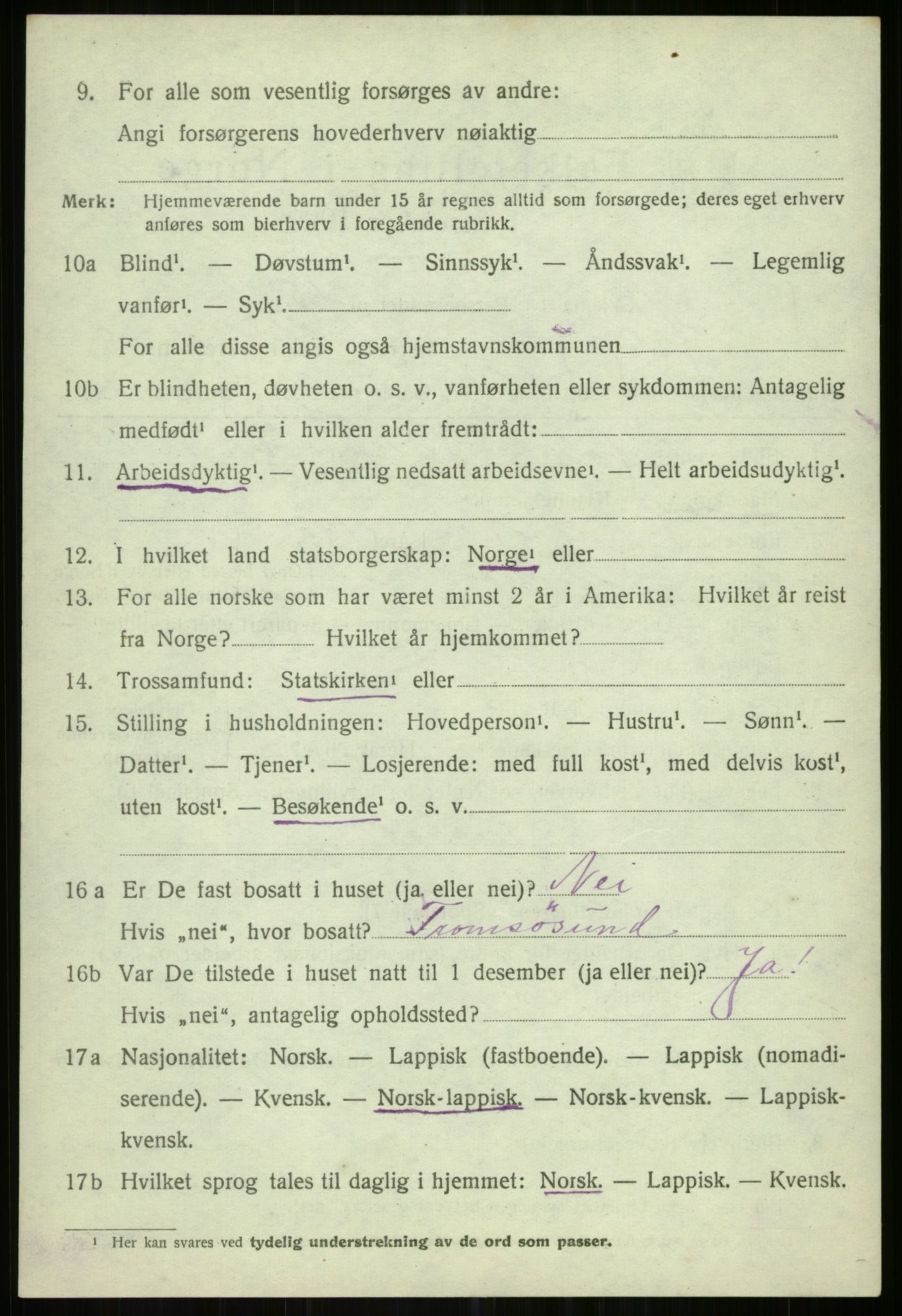 SATØ, Folketelling 1920 for 1935 Helgøy herred, 1920, s. 3163