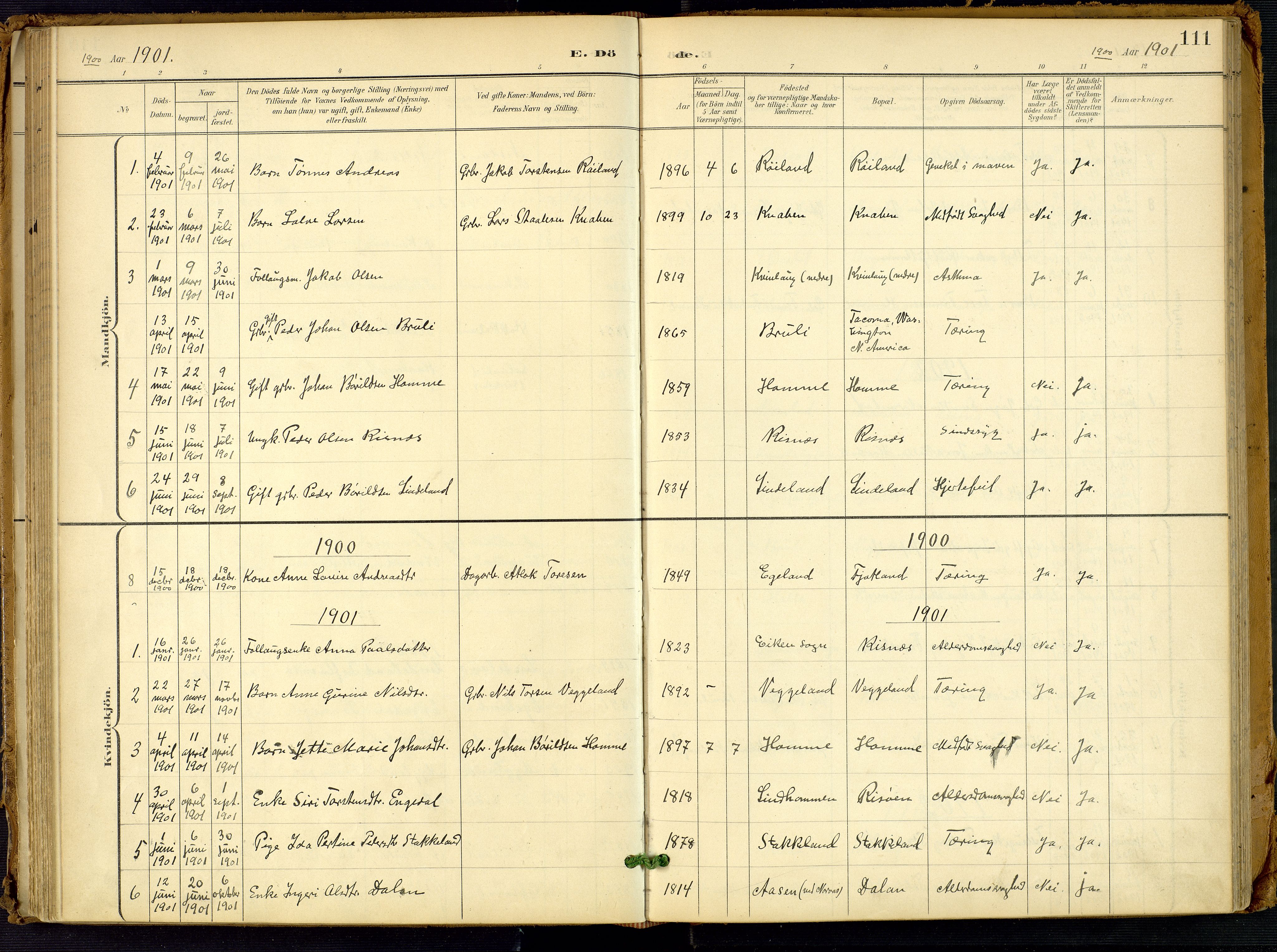 Fjotland sokneprestkontor, AV/SAK-1111-0010/F/Fa/L0003: Ministerialbok nr. A 3, 1899-1917, s. 111