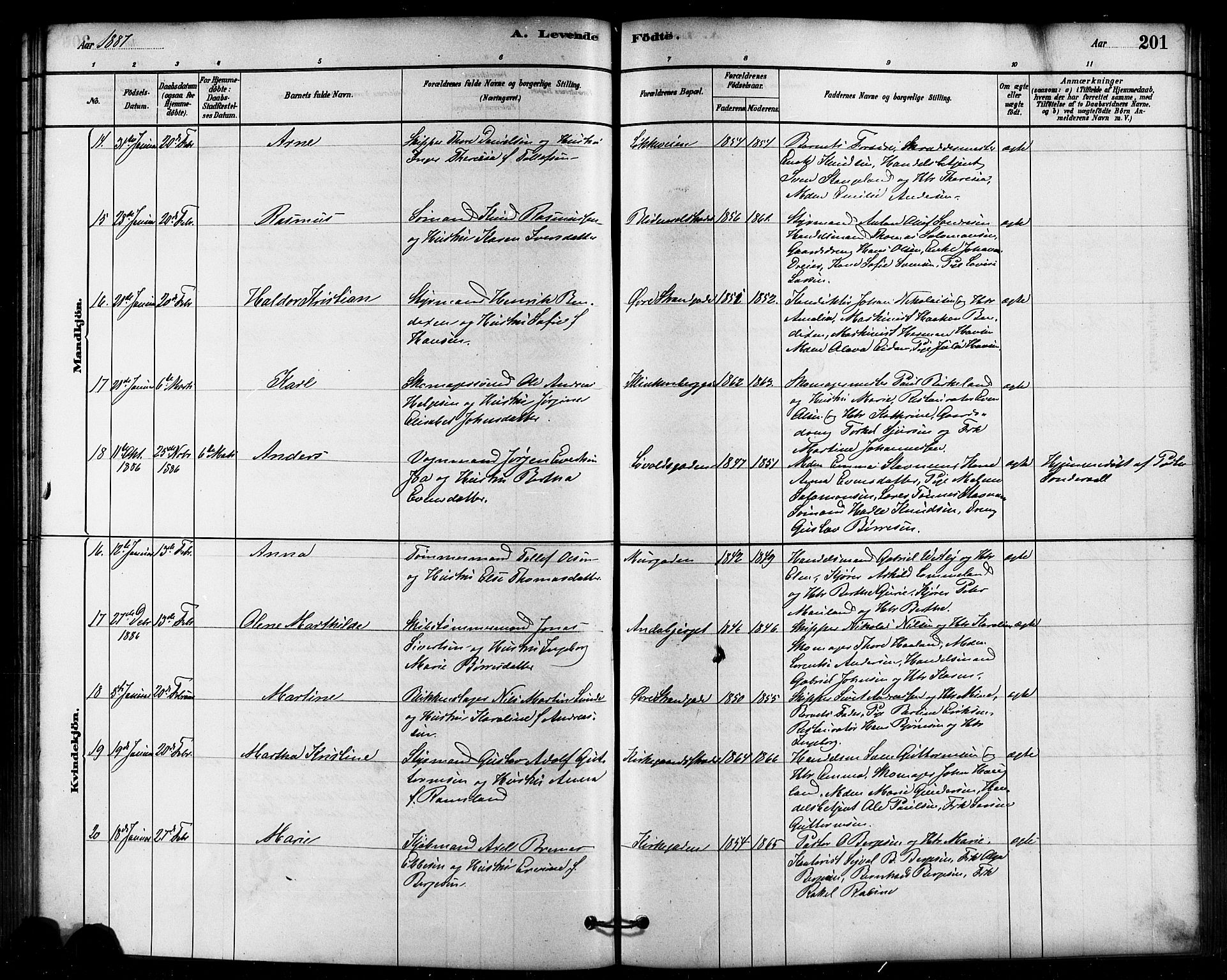 Domkirken sokneprestkontor, AV/SAST-A-101812/001/30/30BB/L0015: Klokkerbok nr. B 15, 1880-1891, s. 201