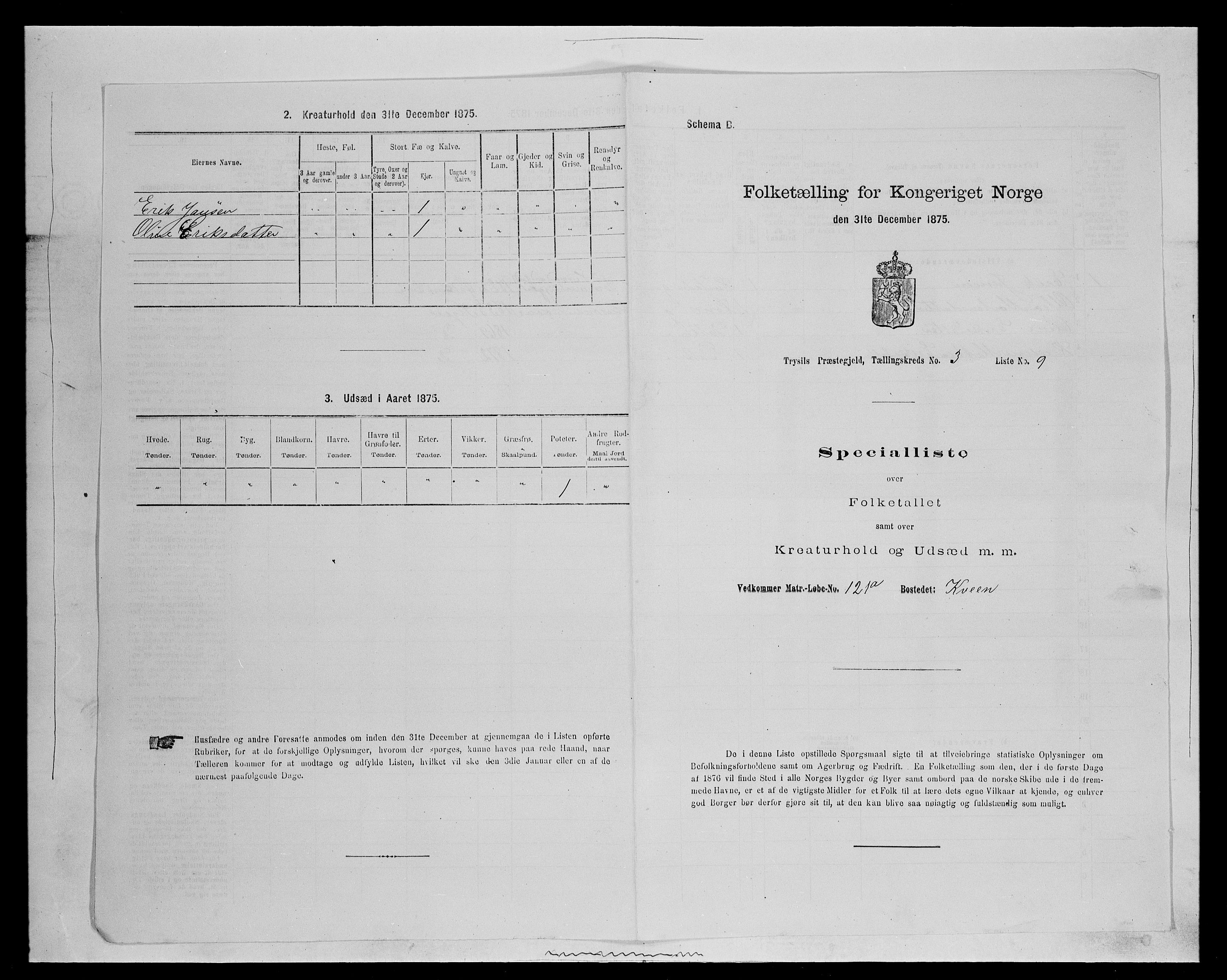 SAH, Folketelling 1875 for 0428P Trysil prestegjeld, 1875, s. 420