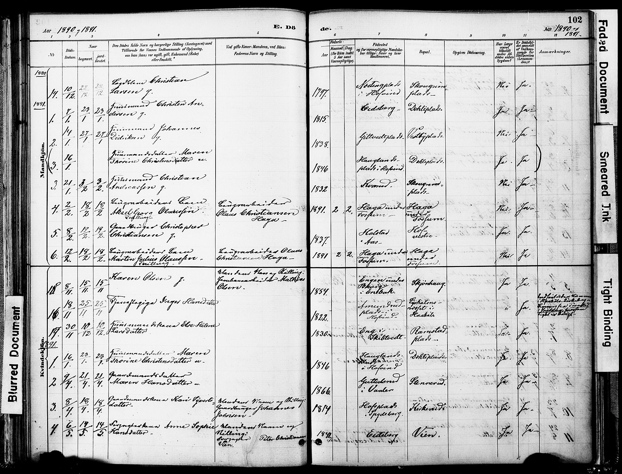 Spydeberg prestekontor Kirkebøker, SAO/A-10924/F/Fa/L0008: Ministerialbok nr. I 8, 1886-1900, s. 102
