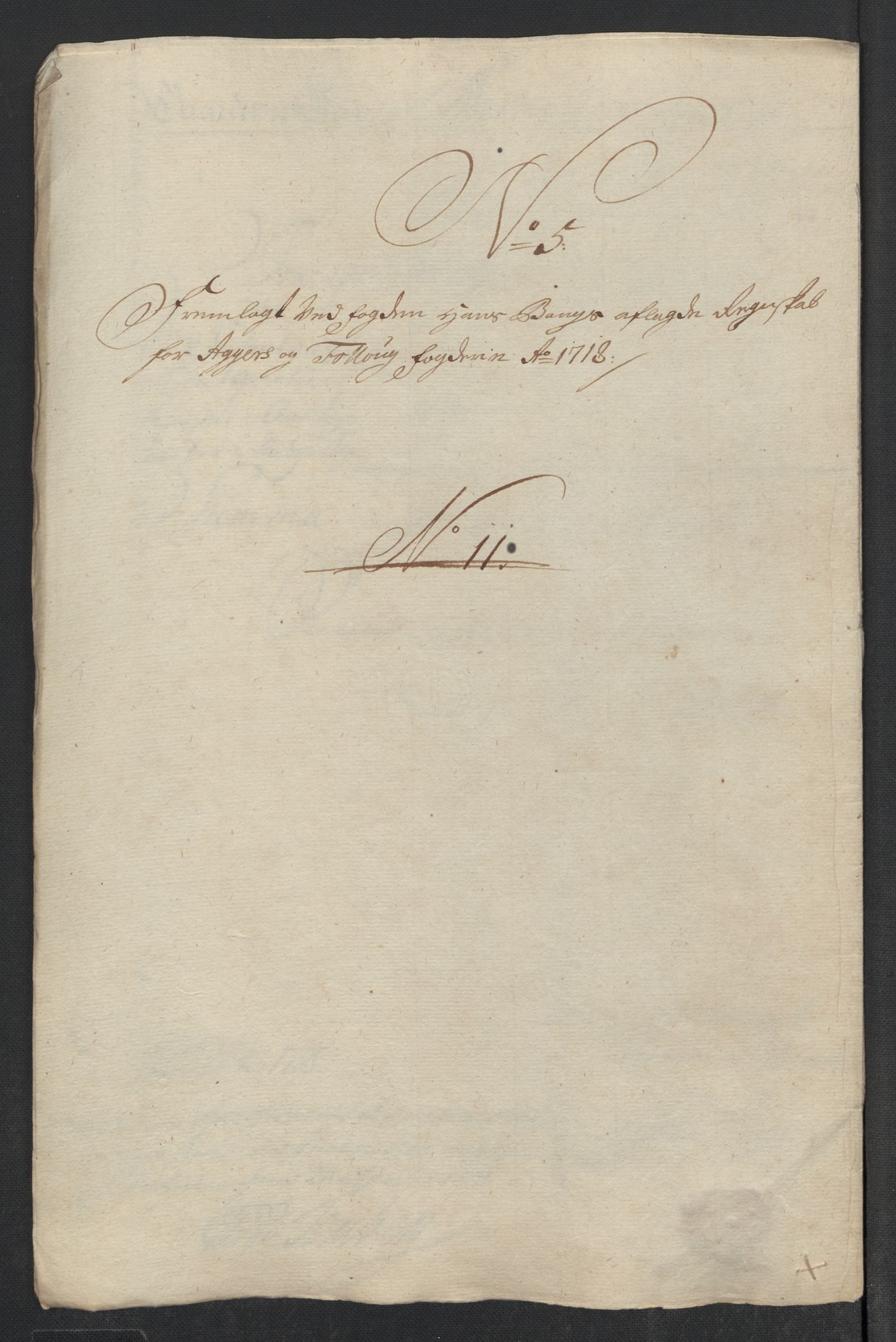 Rentekammeret inntil 1814, Reviderte regnskaper, Fogderegnskap, AV/RA-EA-4092/R10/L0456: Fogderegnskap Aker og Follo, 1718, s. 117