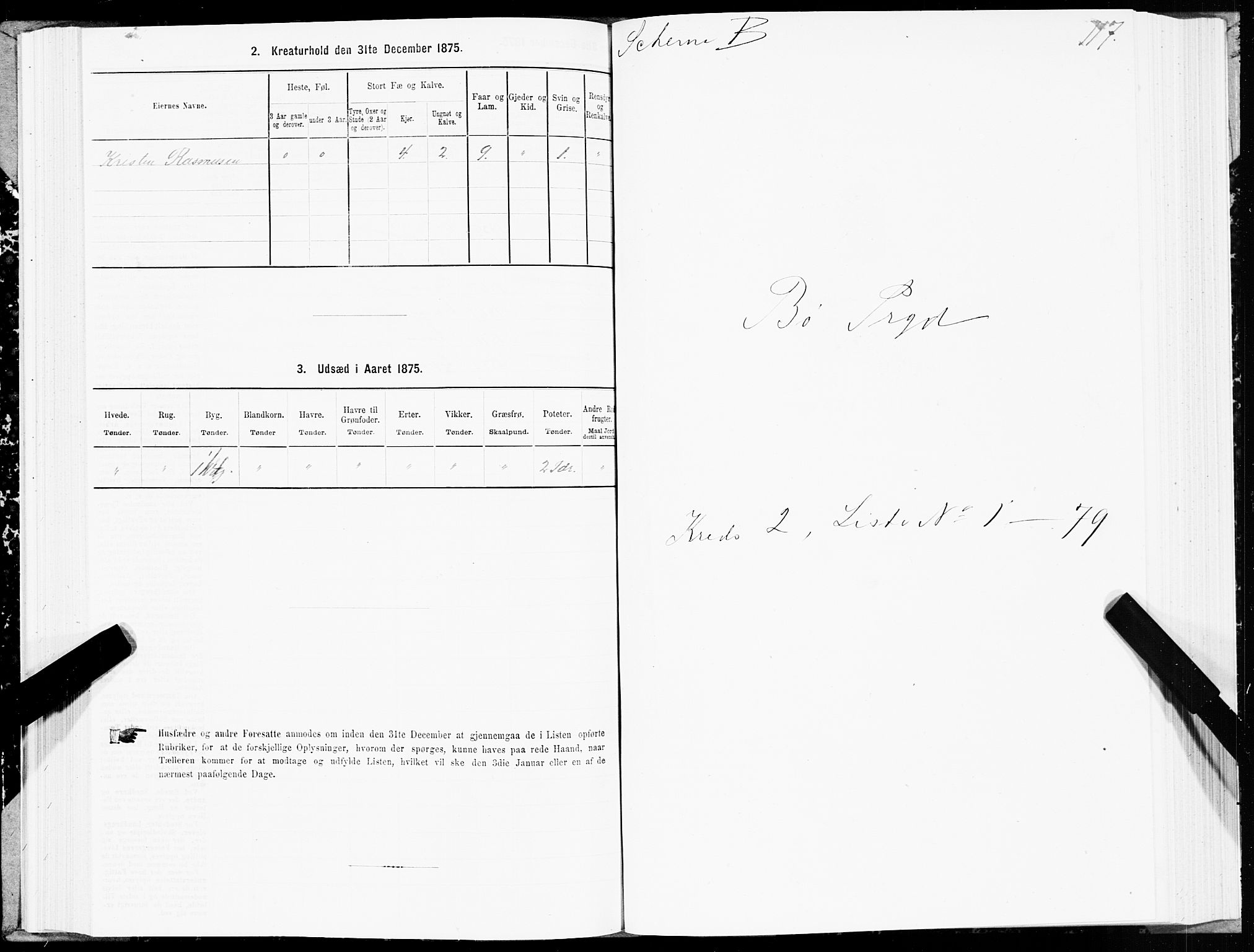 SAT, Folketelling 1875 for 1867P Bø prestegjeld, 1875, s. 1117