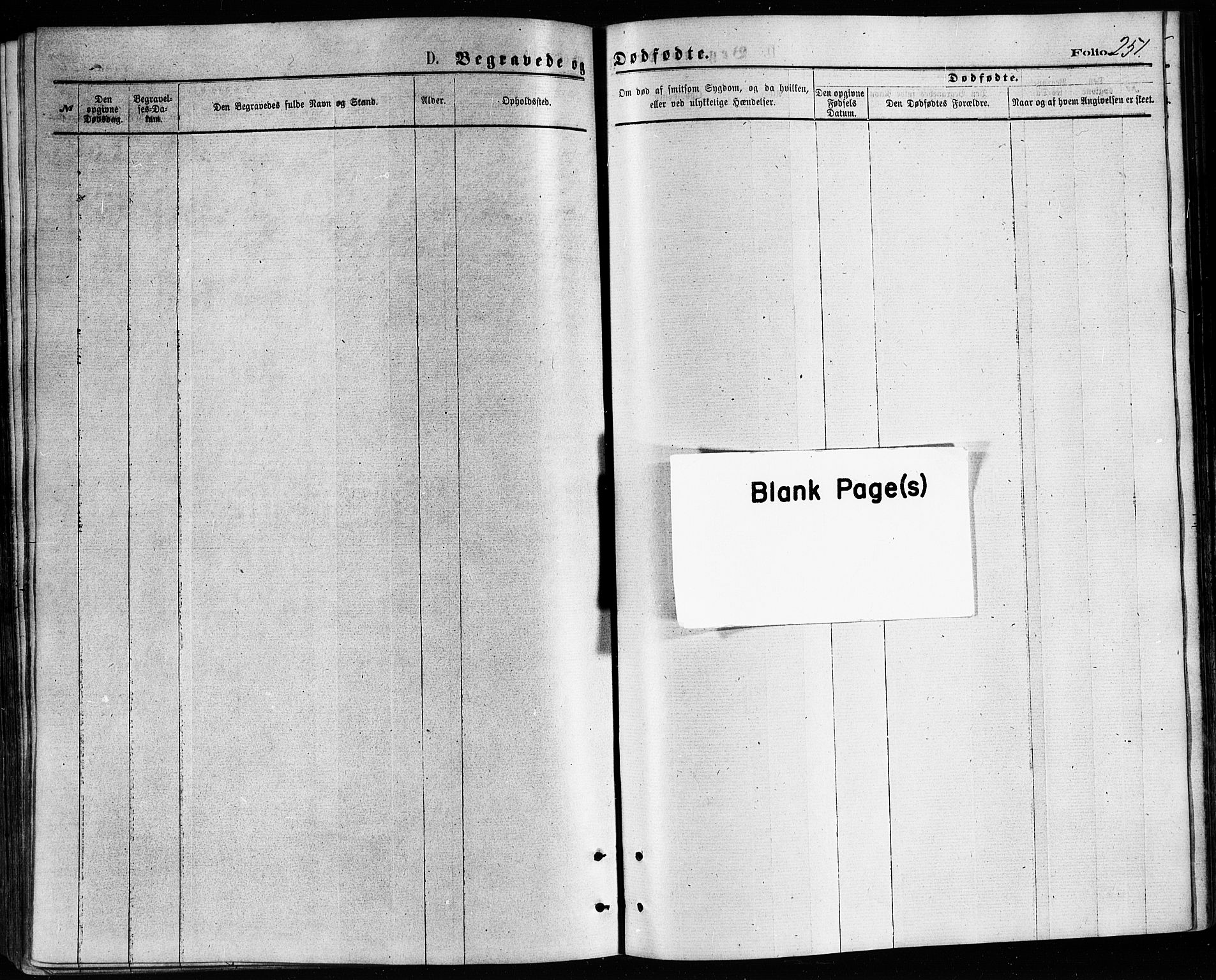 Ministerialprotokoller, klokkerbøker og fødselsregistre - Nordland, AV/SAT-A-1459/814/L0225: Ministerialbok nr. 814A06, 1875-1885, s. 251