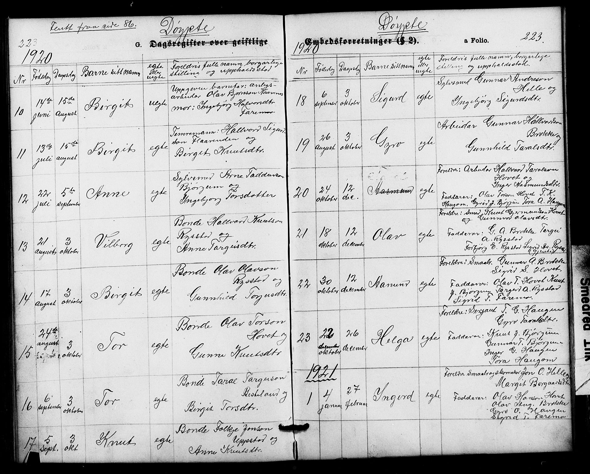 Valle sokneprestkontor, AV/SAK-1111-0044/F/Fb/Fbb/L0002: Klokkerbok nr. B 2, 1875-1921, s. 223