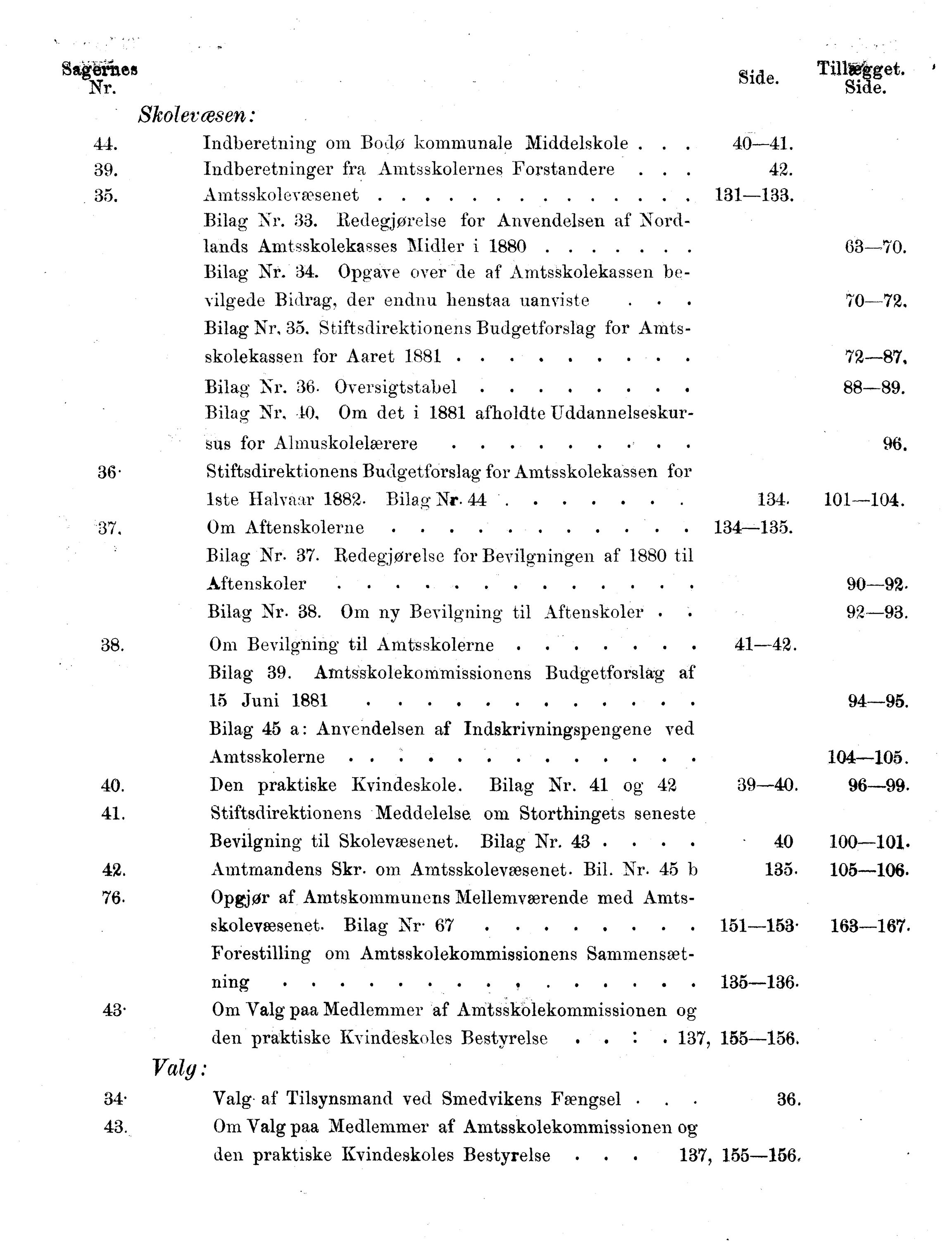 Nordland Fylkeskommune. Fylkestinget, AIN/NFK-17/176/A/Ac/L0014: Fylkestingsforhandlinger 1881-1885, 1881-1885