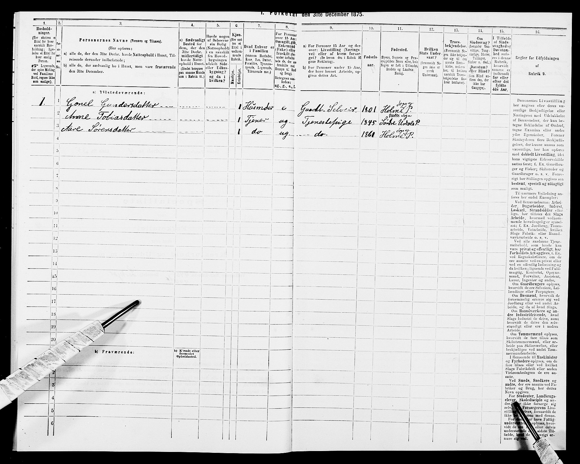 SAK, Folketelling 1875 for 1020P Holum prestegjeld, 1875, s. 521