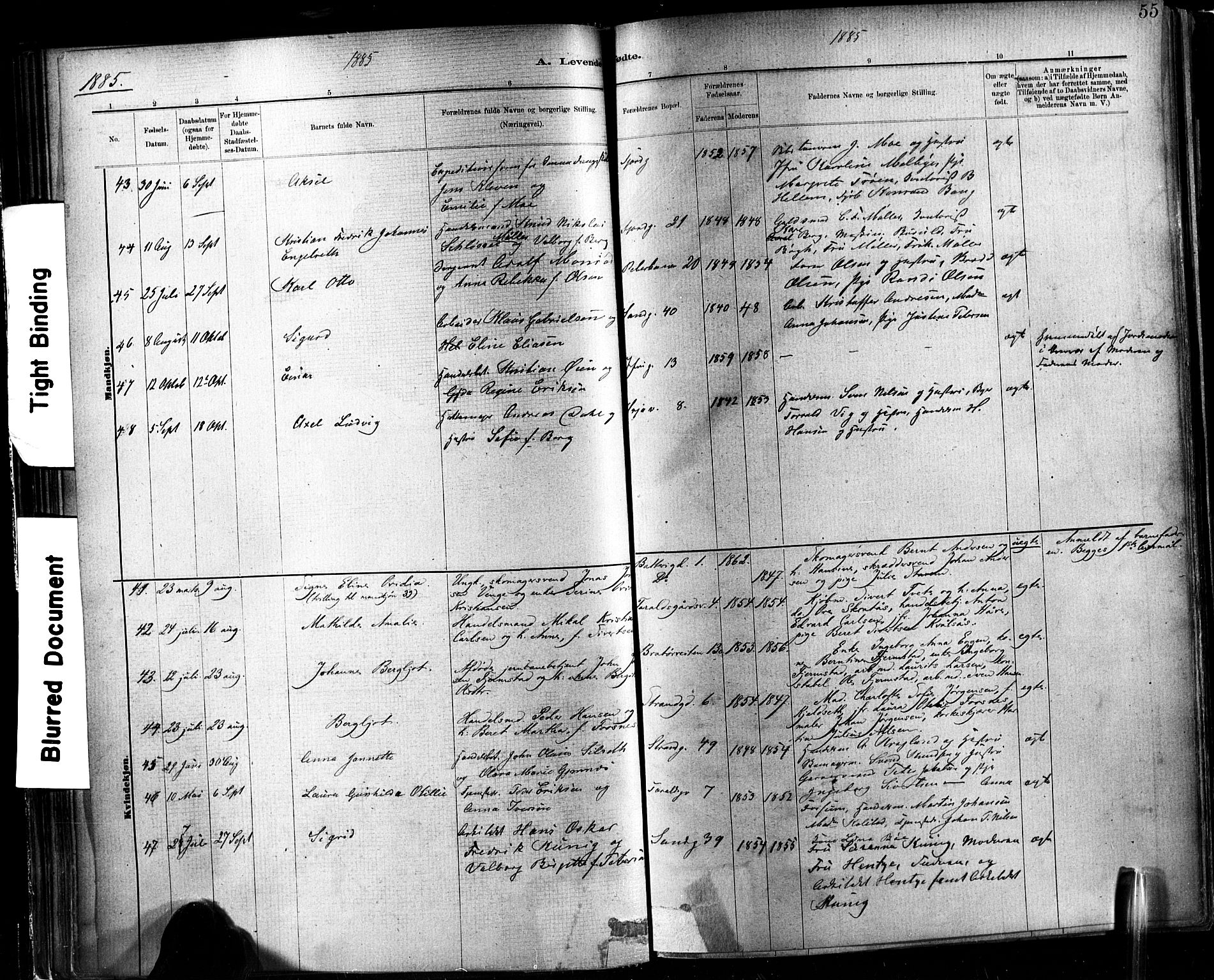 Ministerialprotokoller, klokkerbøker og fødselsregistre - Sør-Trøndelag, AV/SAT-A-1456/602/L0119: Ministerialbok nr. 602A17, 1880-1901, s. 55