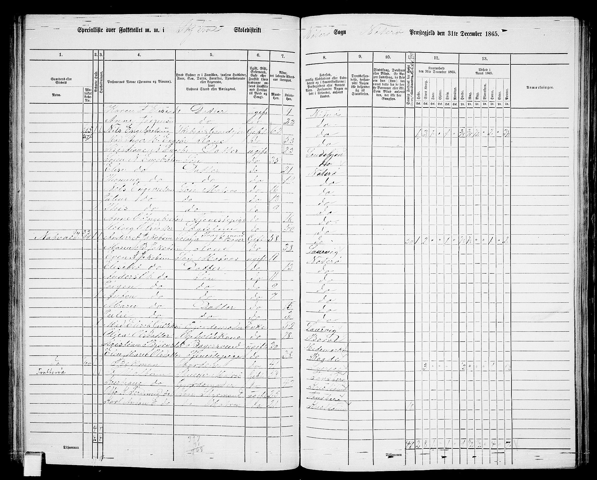 RA, Folketelling 1865 for 0722P Nøtterøy prestegjeld, 1865, s. 149