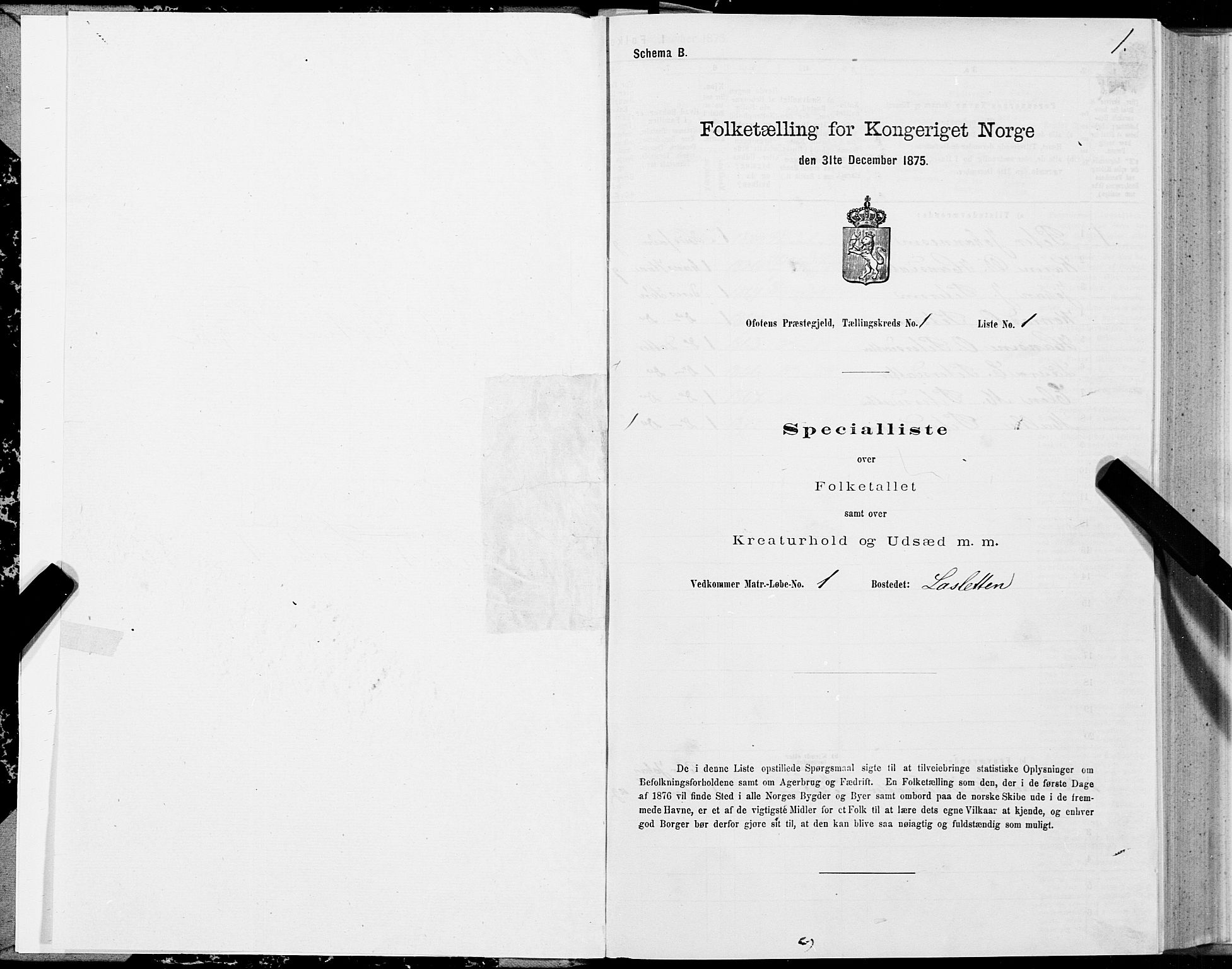SAT, Folketelling 1875 for 1853P Ofoten prestegjeld, 1875, s. 1001