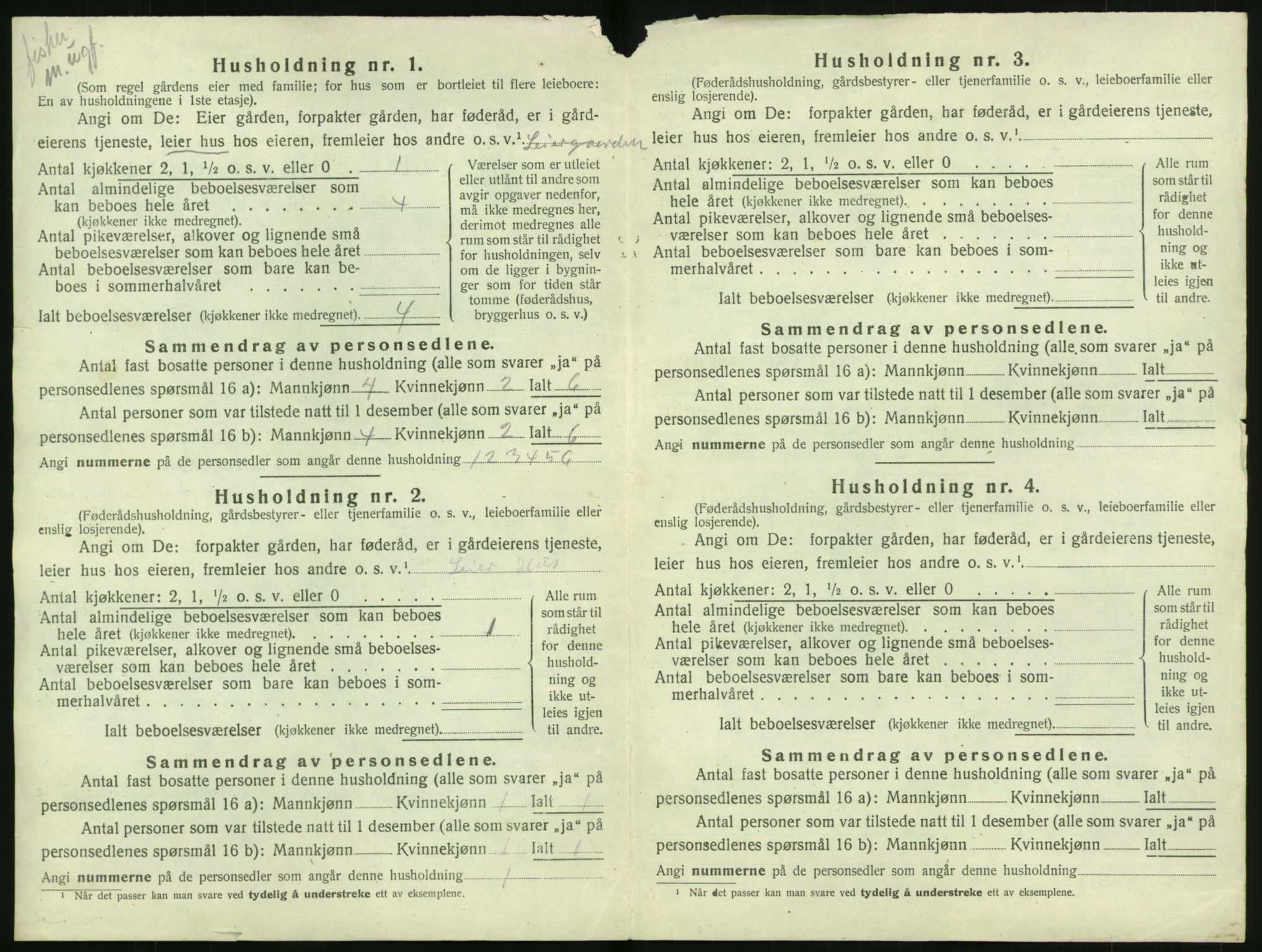 SAK, Folketelling 1920 for 1043 Nes herred, 1920, s. 1037