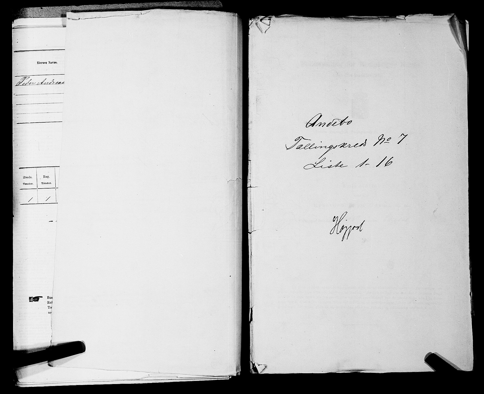 SAKO, Folketelling 1875 for 0719P Andebu prestegjeld, 1875, s. 685