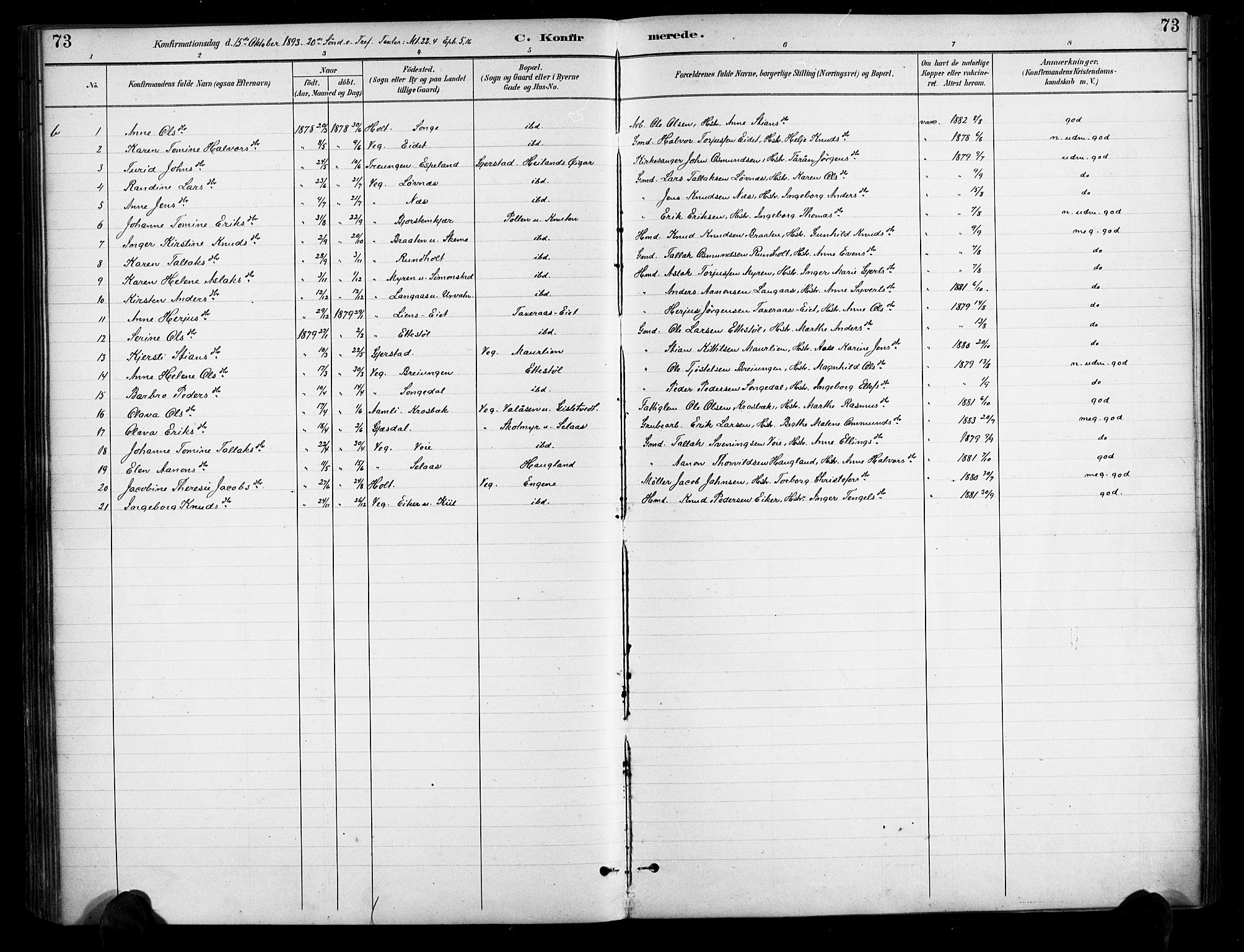 Gjerstad sokneprestkontor, AV/SAK-1111-0014/F/Fa/Fab/L0005: Ministerialbok nr. A 5, 1891-1908, s. 73