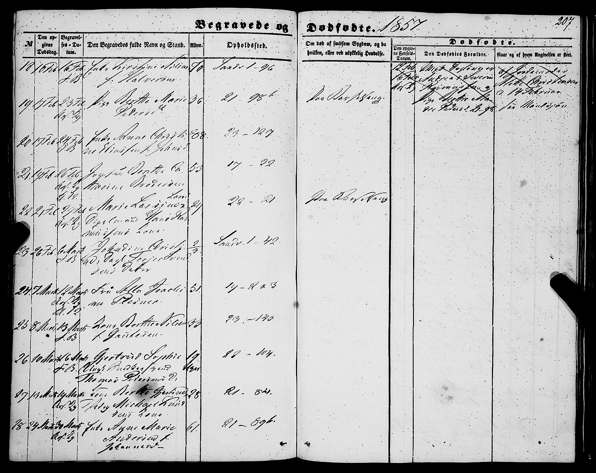 Korskirken sokneprestembete, SAB/A-76101/H/Haa: Ministerialbok nr. E 2, 1848-1862, s. 207