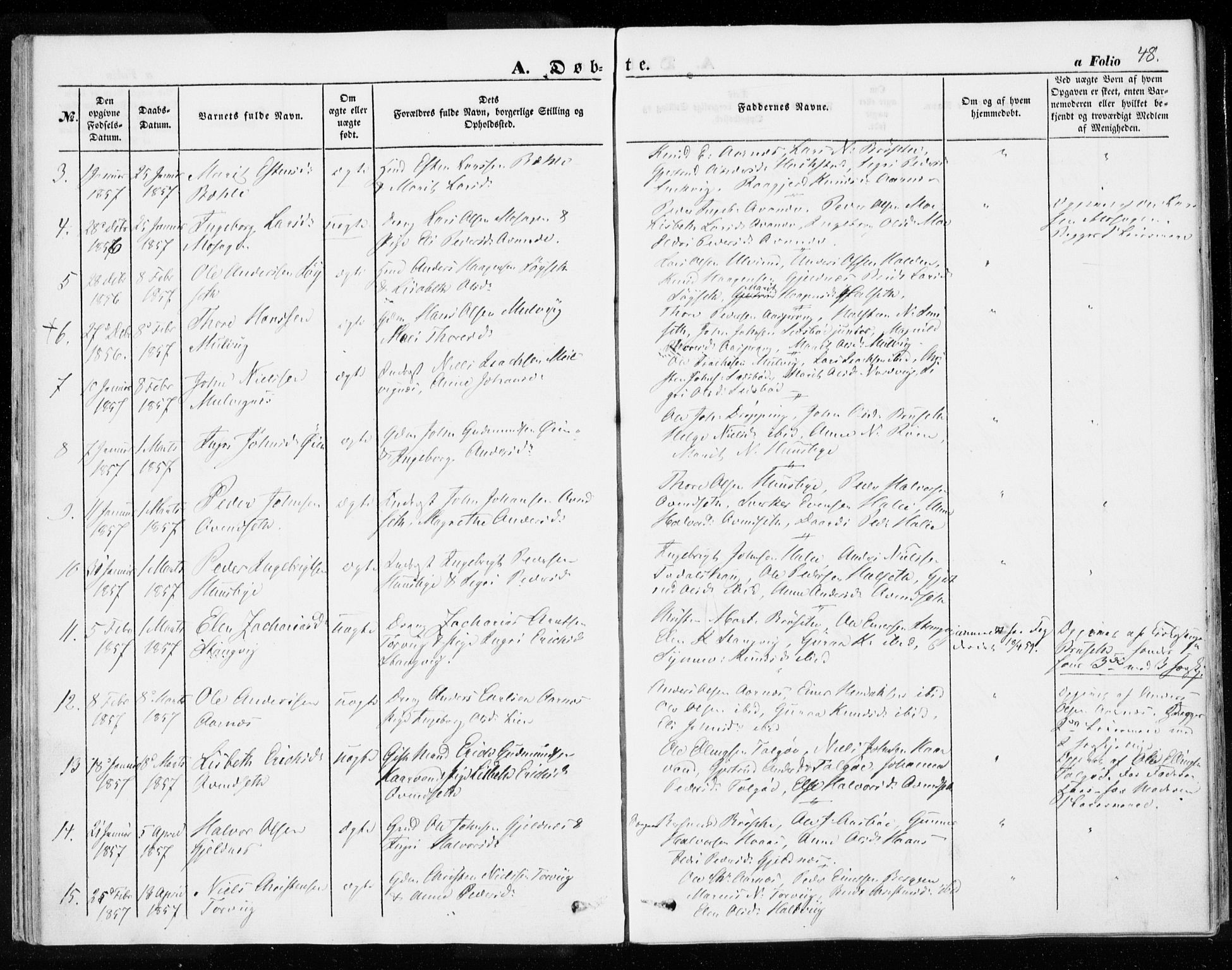 Ministerialprotokoller, klokkerbøker og fødselsregistre - Møre og Romsdal, AV/SAT-A-1454/592/L1026: Ministerialbok nr. 592A04, 1849-1867, s. 48