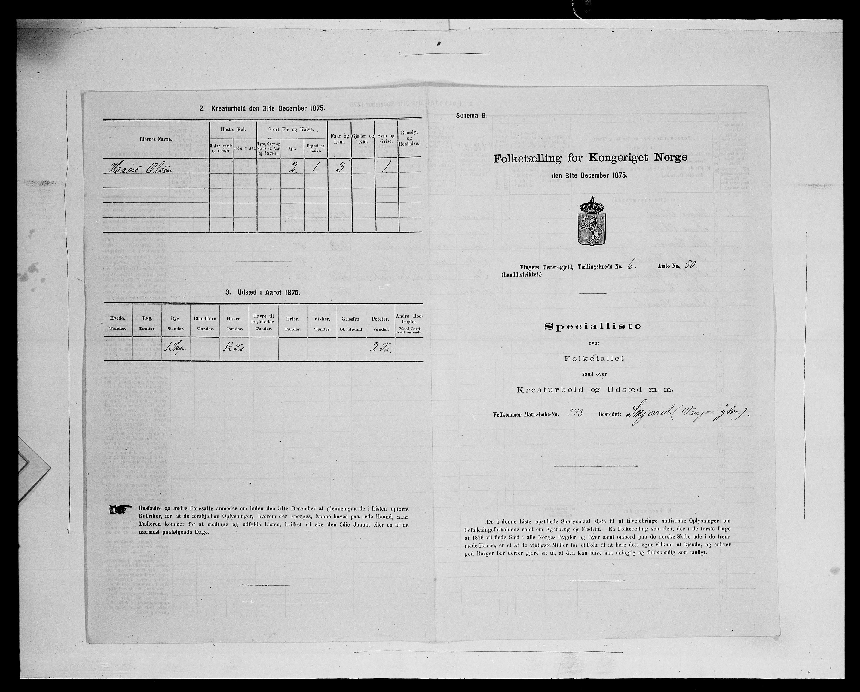 SAH, Folketelling 1875 for 0421L Vinger prestegjeld, Vinger sokn og Austmarka sokn, 1875, s. 1041
