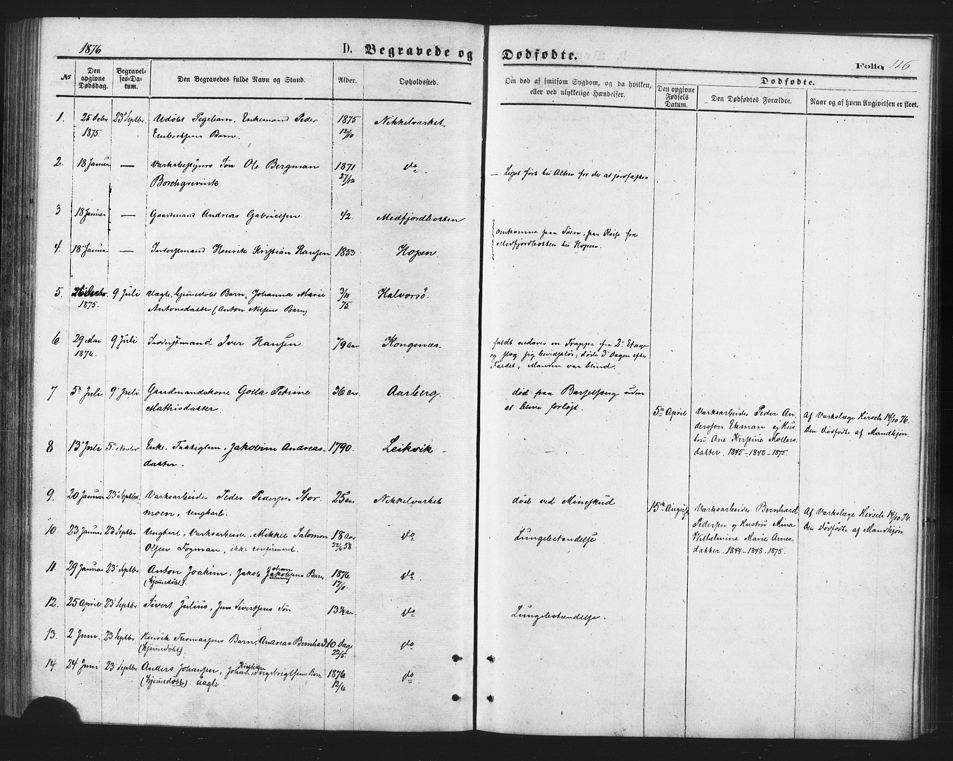 Berg sokneprestkontor, AV/SATØ-S-1318/G/Ga/Gaa/L0003kirke: Ministerialbok nr. 3, 1872-1879, s. 116