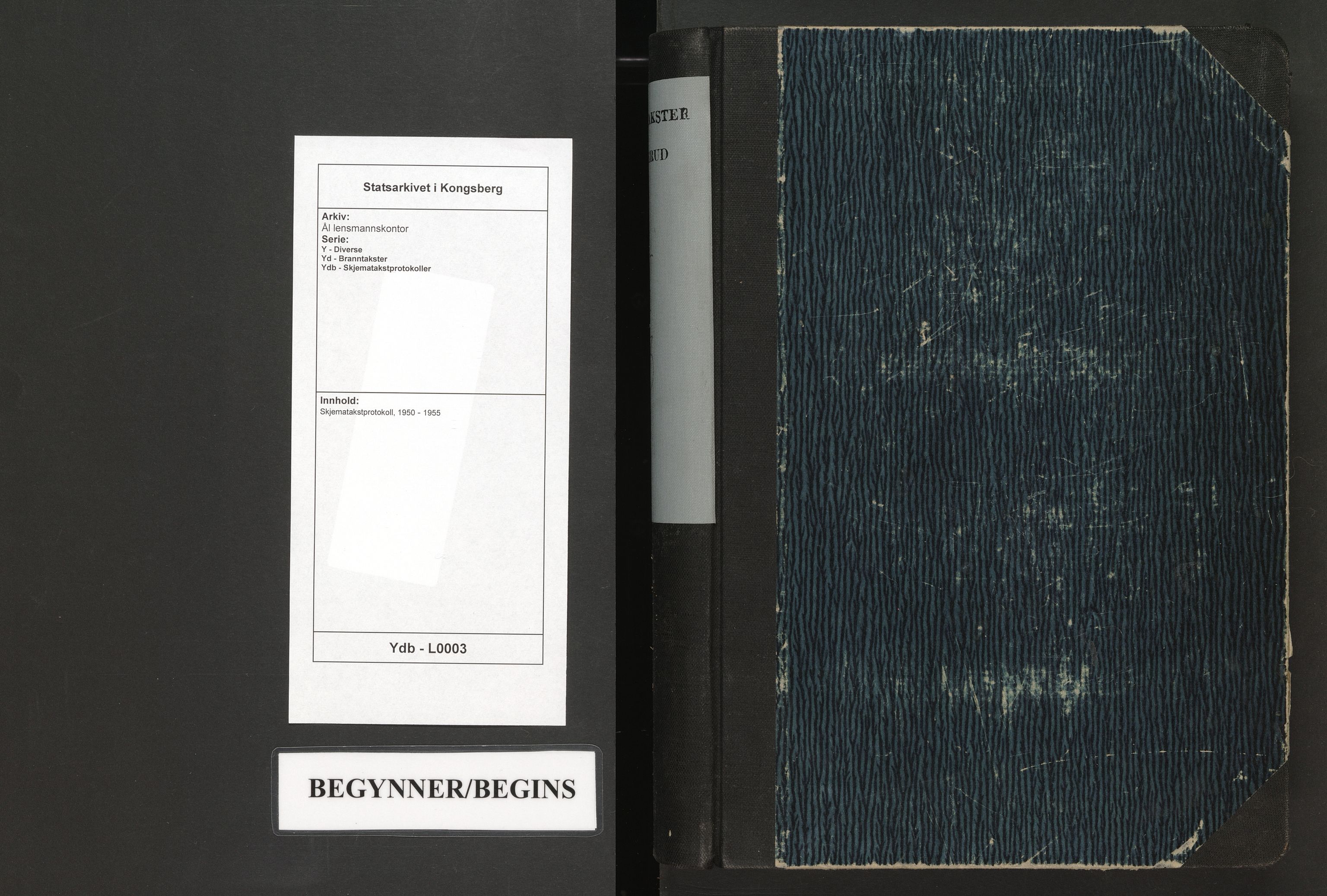 Ål lensmannskontor, AV/SAKO-A-519/Y/Yd/Ydb/L0003: Skjematakstprotokoll, 1950-1955