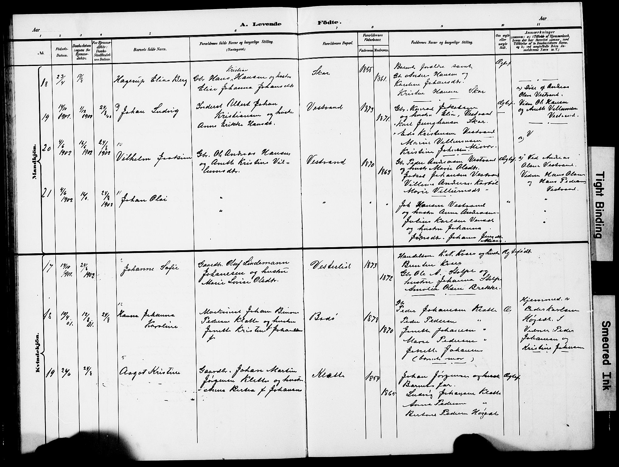 Ministerialprotokoller, klokkerbøker og fødselsregistre - Nordland, SAT/A-1459/852/L0755: Klokkerbok nr. 852C06, 1895-1902