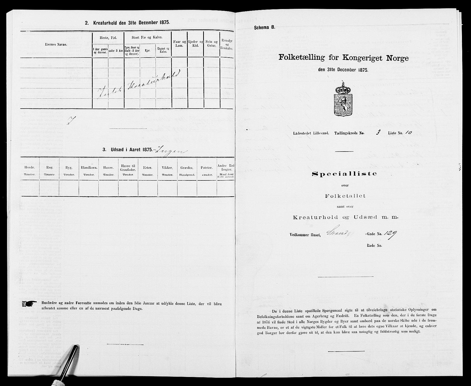 SAK, Folketelling 1875 for 0905B Vestre Moland prestegjeld, Lillesand ladested, 1875, s. 222