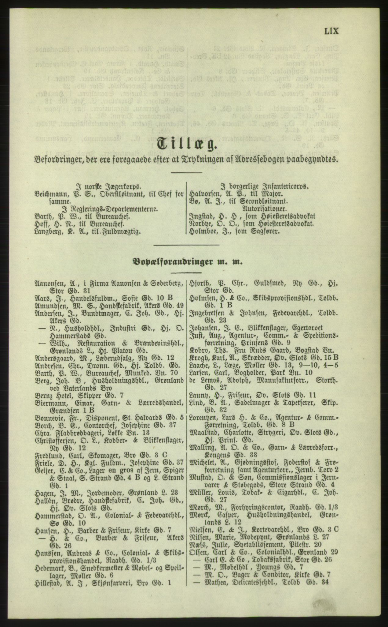 Kristiania/Oslo adressebok, PUBL/-, 1879, s. LIX