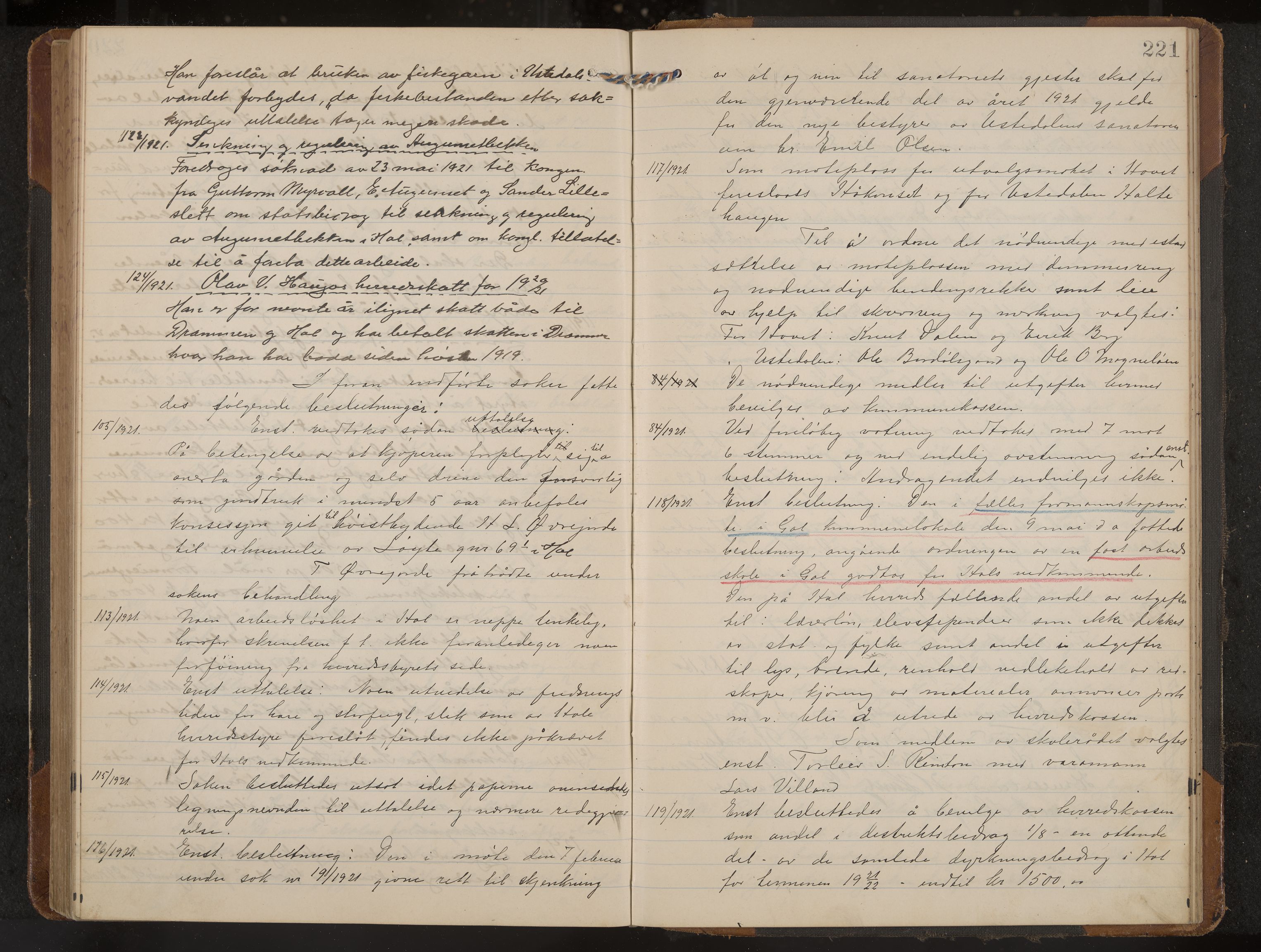 Hol formannskap og sentraladministrasjon, IKAK/0620021-1/A/L0006: Møtebok, 1916-1922, s. 221