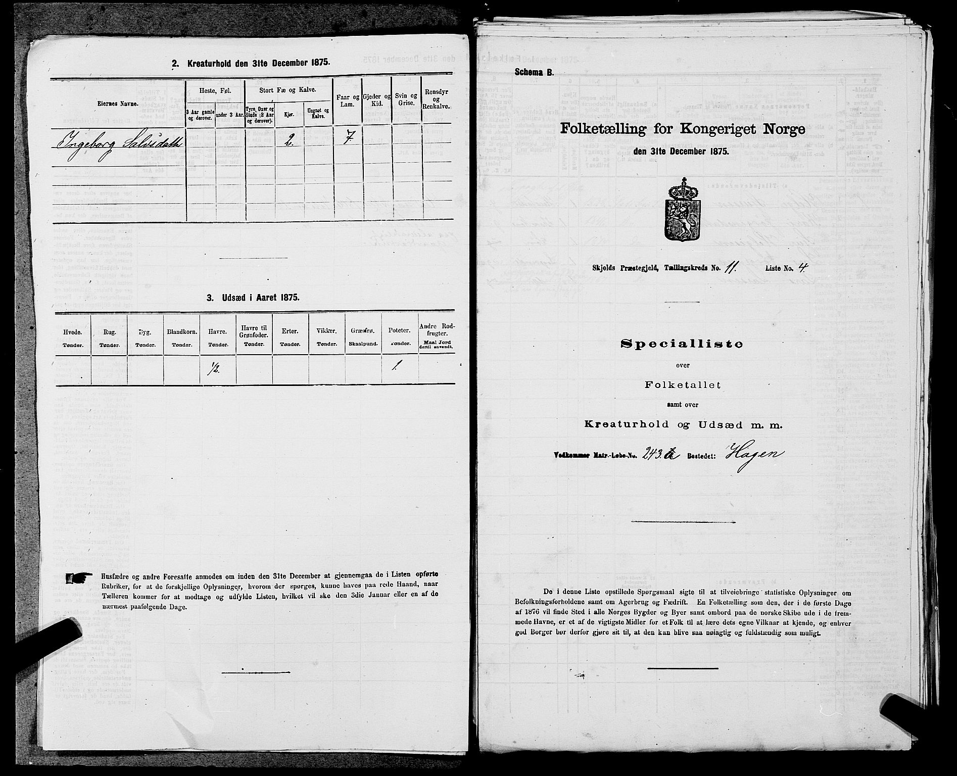 SAST, Folketelling 1875 for 1154P Skjold prestegjeld, 1875, s. 1111