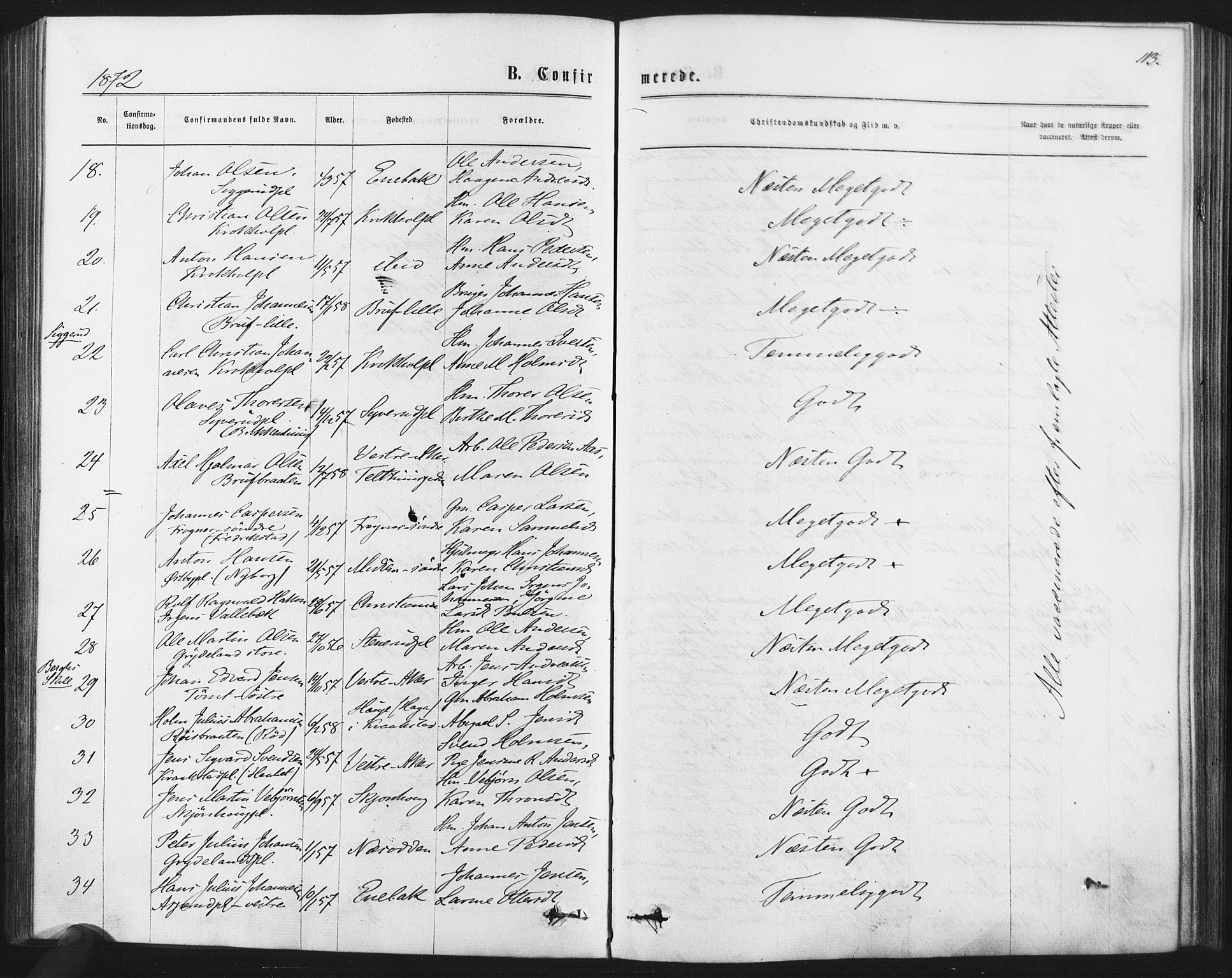 Kråkstad prestekontor Kirkebøker, SAO/A-10125a/F/Fa/L0008: Ministerialbok nr. I 8, 1870-1879, s. 113