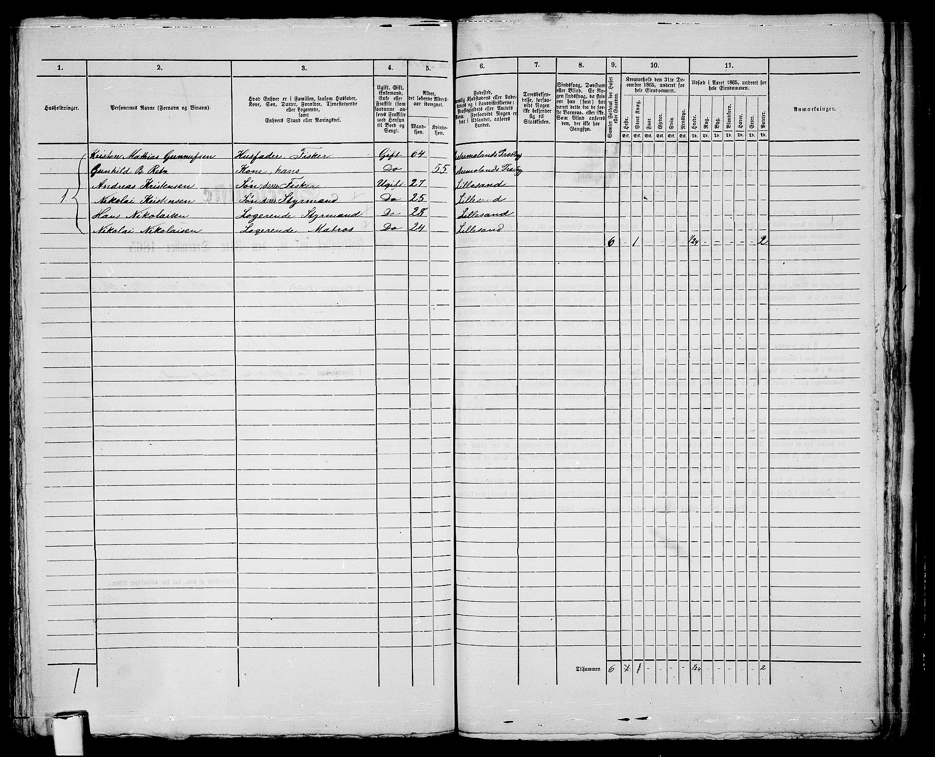 RA, Folketelling 1865 for 0905B Vestre Moland prestegjeld, Lillesand ladested, 1865, s. 300