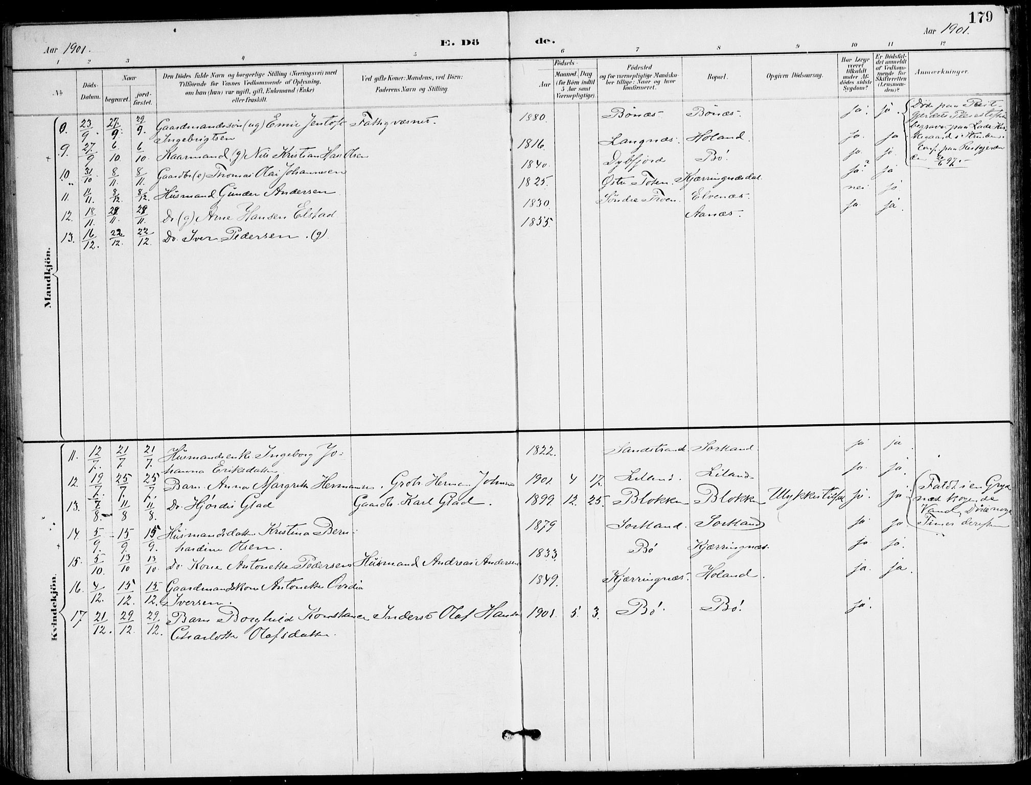 Ministerialprotokoller, klokkerbøker og fødselsregistre - Nordland, SAT/A-1459/895/L1372: Ministerialbok nr. 895A07, 1894-1914, s. 179