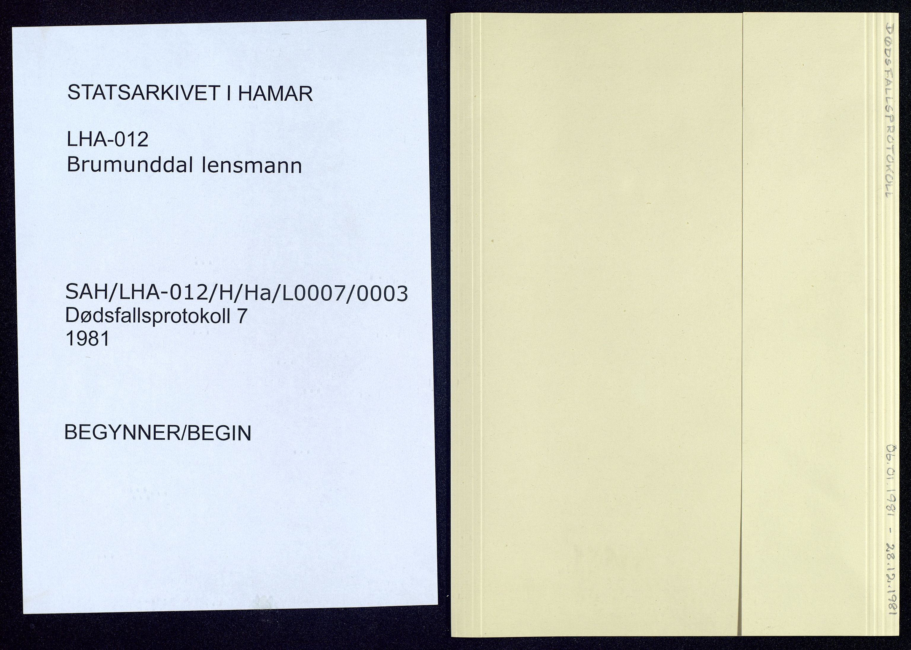 Brumunddal lensmannskontor, SAH/LHR-012/H/Ha/L0007/0003: Dødsfallsprotokoll  / Dødsfallsprotokoller, 1981