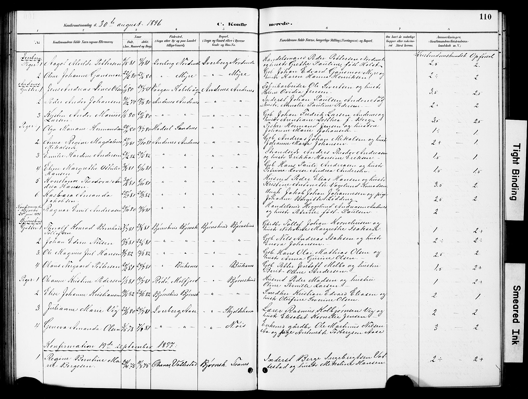 Ministerialprotokoller, klokkerbøker og fødselsregistre - Nordland, SAT/A-1459/897/L1413: Klokkerbok nr. 897C03, 1887-1903, s. 110