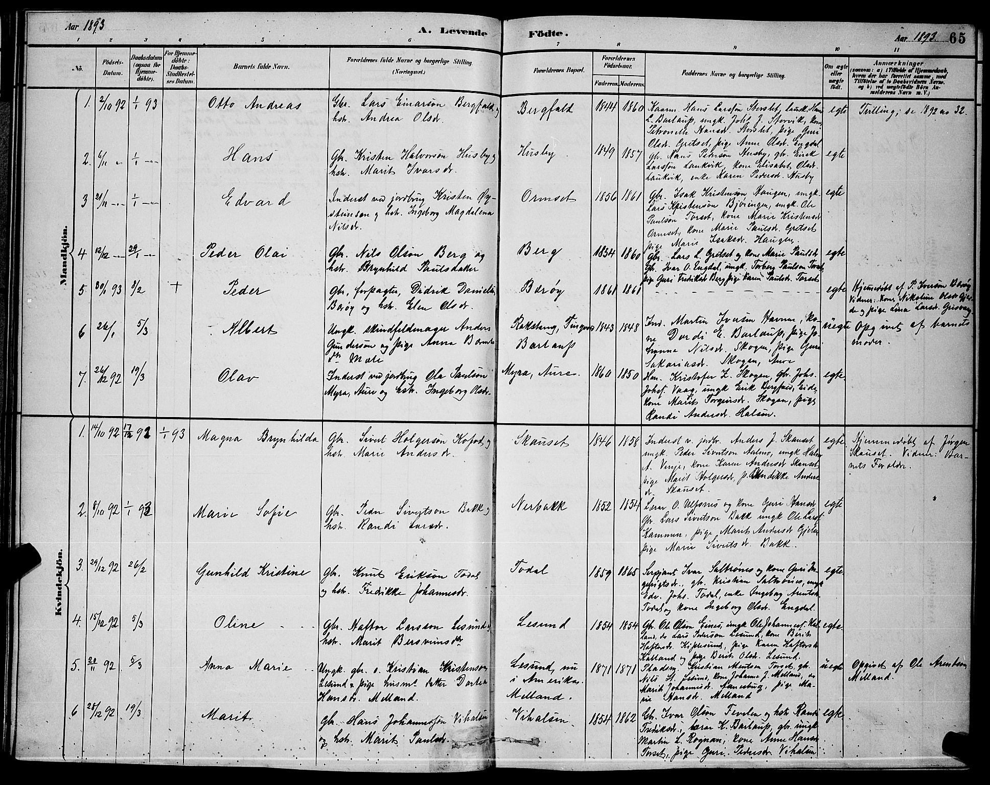 Ministerialprotokoller, klokkerbøker og fødselsregistre - Møre og Romsdal, AV/SAT-A-1454/578/L0909: Klokkerbok nr. 578C02, 1882-1900, s. 65