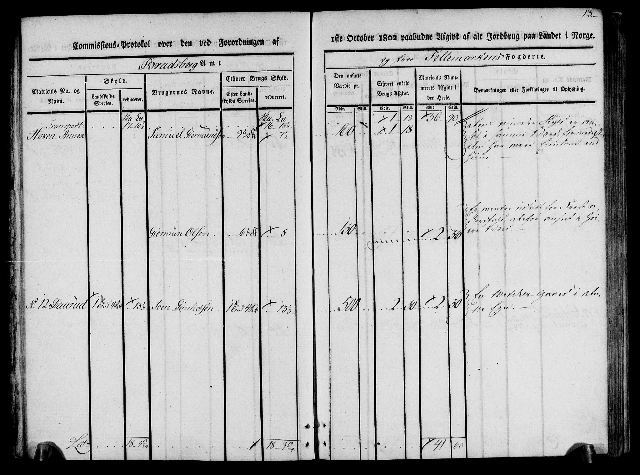 Rentekammeret inntil 1814, Realistisk ordnet avdeling, AV/RA-EA-4070/N/Ne/Nea/L0074: Øvre Telemarken fogderi. Kommisjonsprotokoll for fogderiets østre del - Tinn, Hjartdal og Seljord prestegjeld., 1803, s. 13