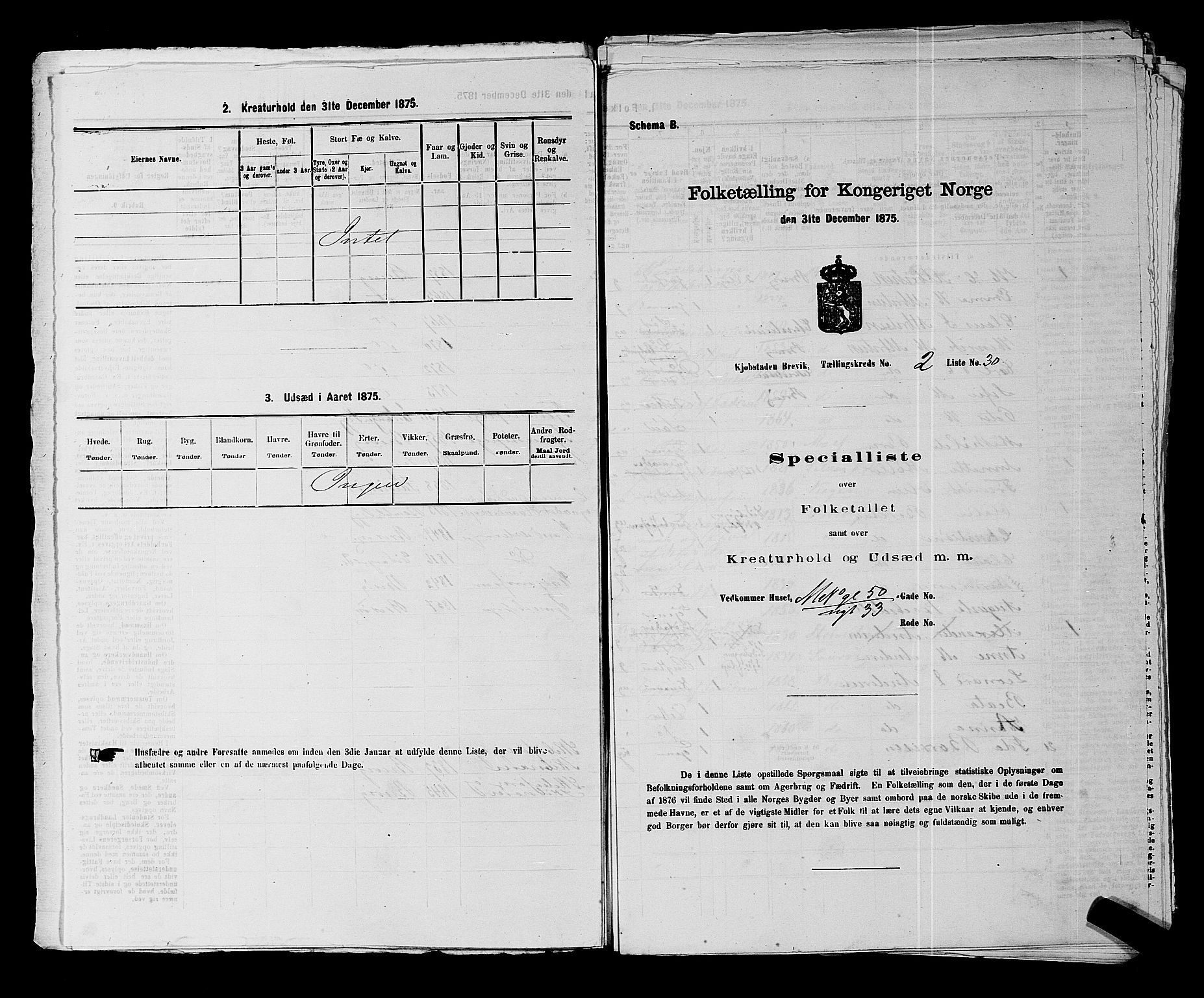 SAKO, Folketelling 1875 for 0804P Brevik prestegjeld, 1875, s. 84
