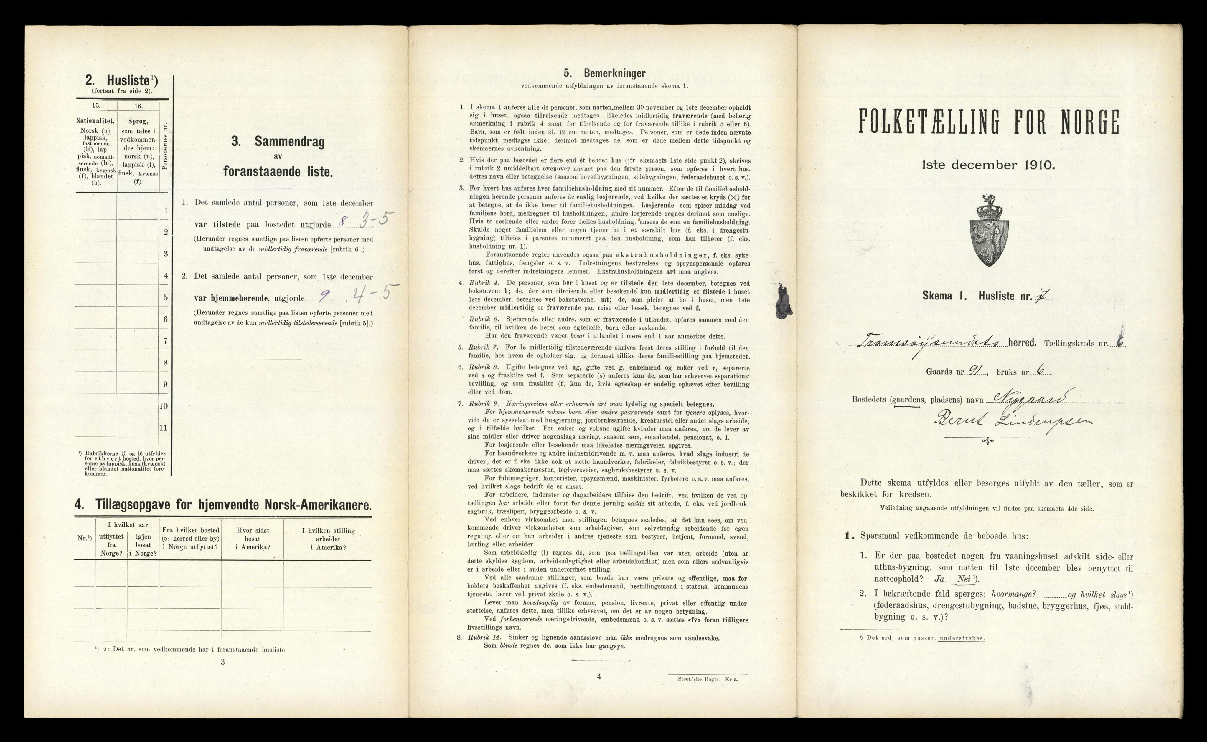 RA, Folketelling 1910 for 1934 Tromsøysund herred, 1910, s. 1197