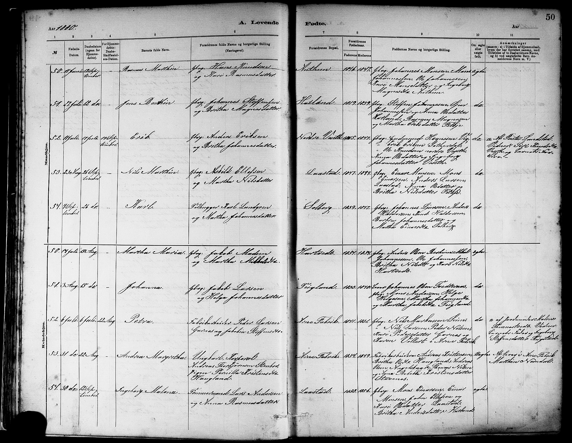 Haus sokneprestembete, AV/SAB-A-75601/H/Haa: Ministerialbok nr. A 19I, 1878-1886, s. 50