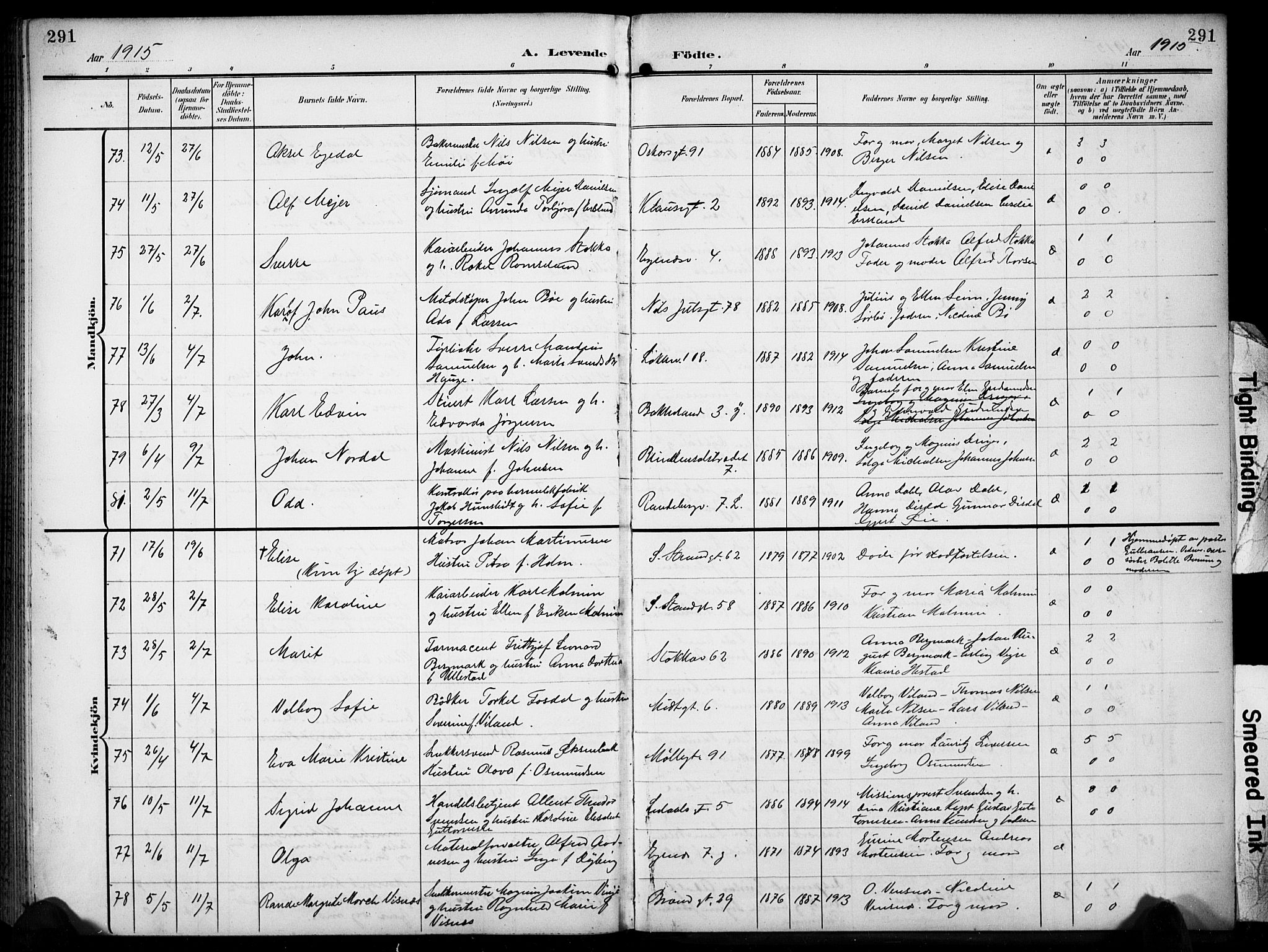 Domkirken sokneprestkontor, SAST/A-101812/001/30/30BB/L0018: Klokkerbok nr. B 18, 1903-1915, s. 291